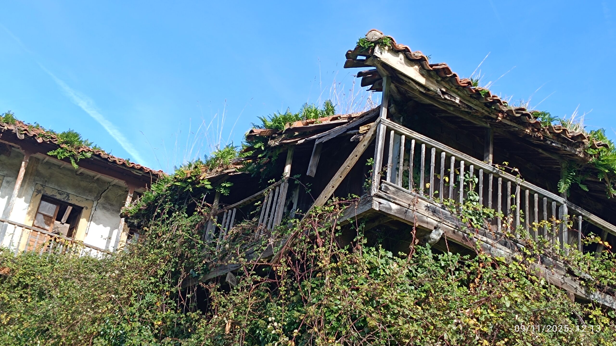 semeya-09.11.2025-5-panera.01.CasaBusto.Castiello-Llorgozana-Carreño-