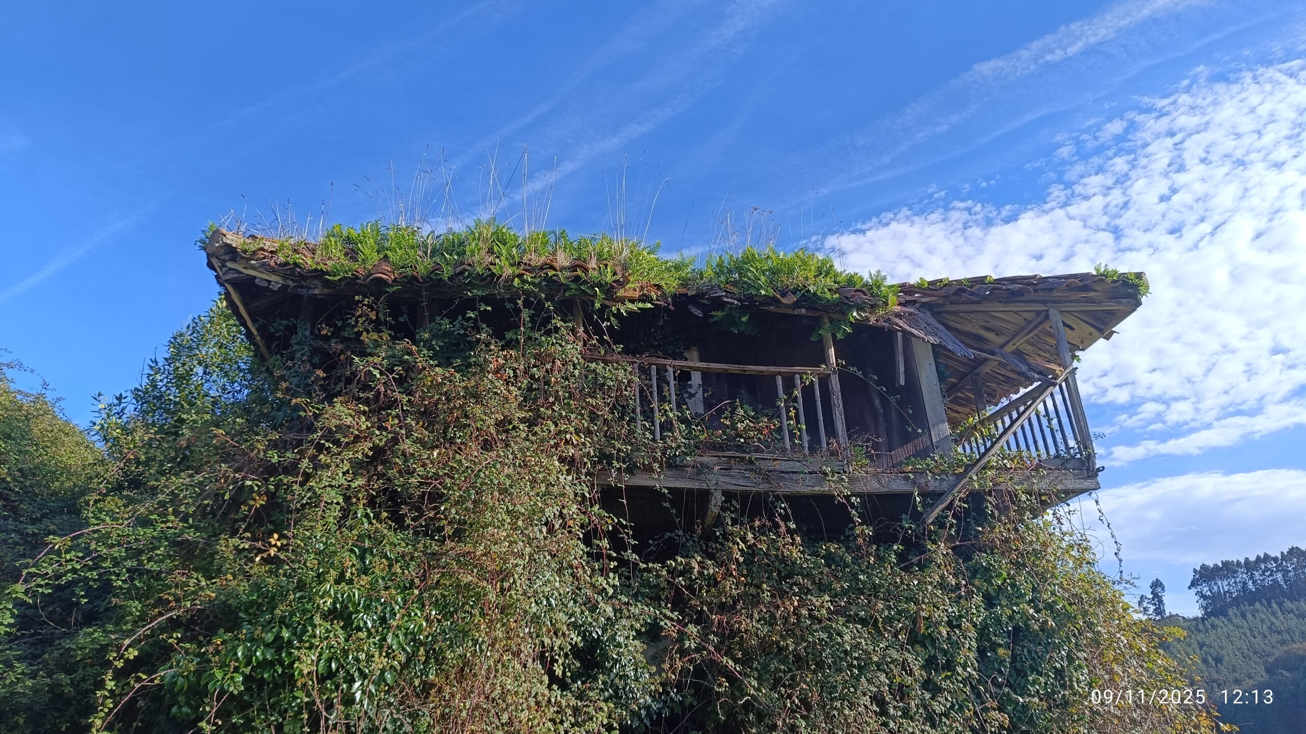 semeya-09.11.2025-6-panera.01.CasaBusto.Castiello-Llorgozana-Carreño-