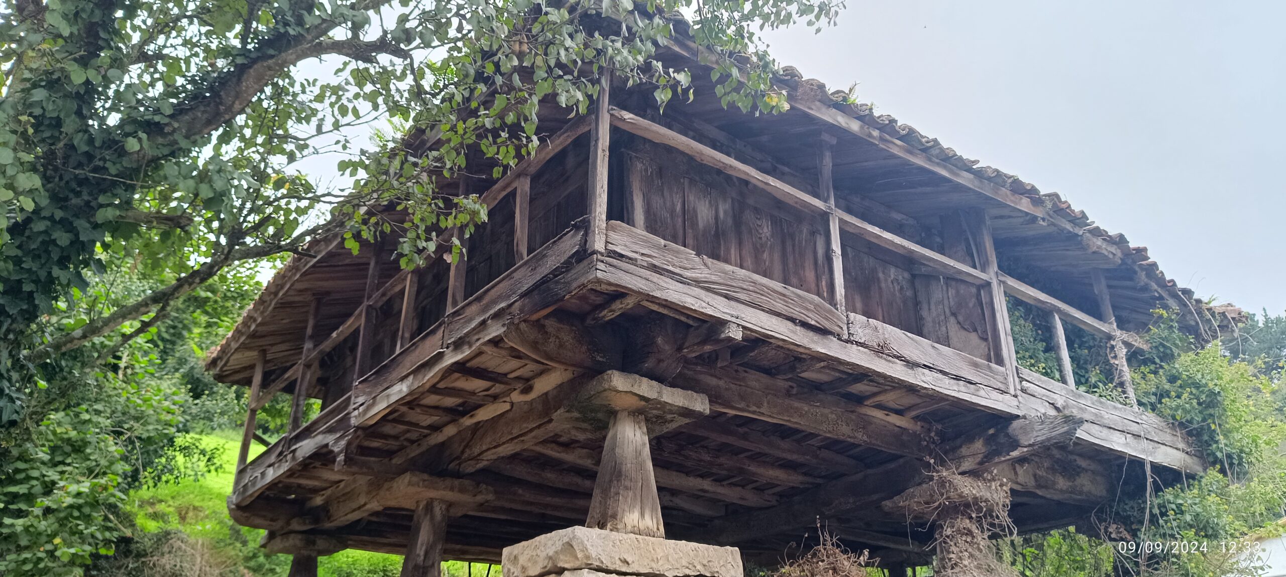 semeya-1-panera.Santianes-Grau-09.09.2024