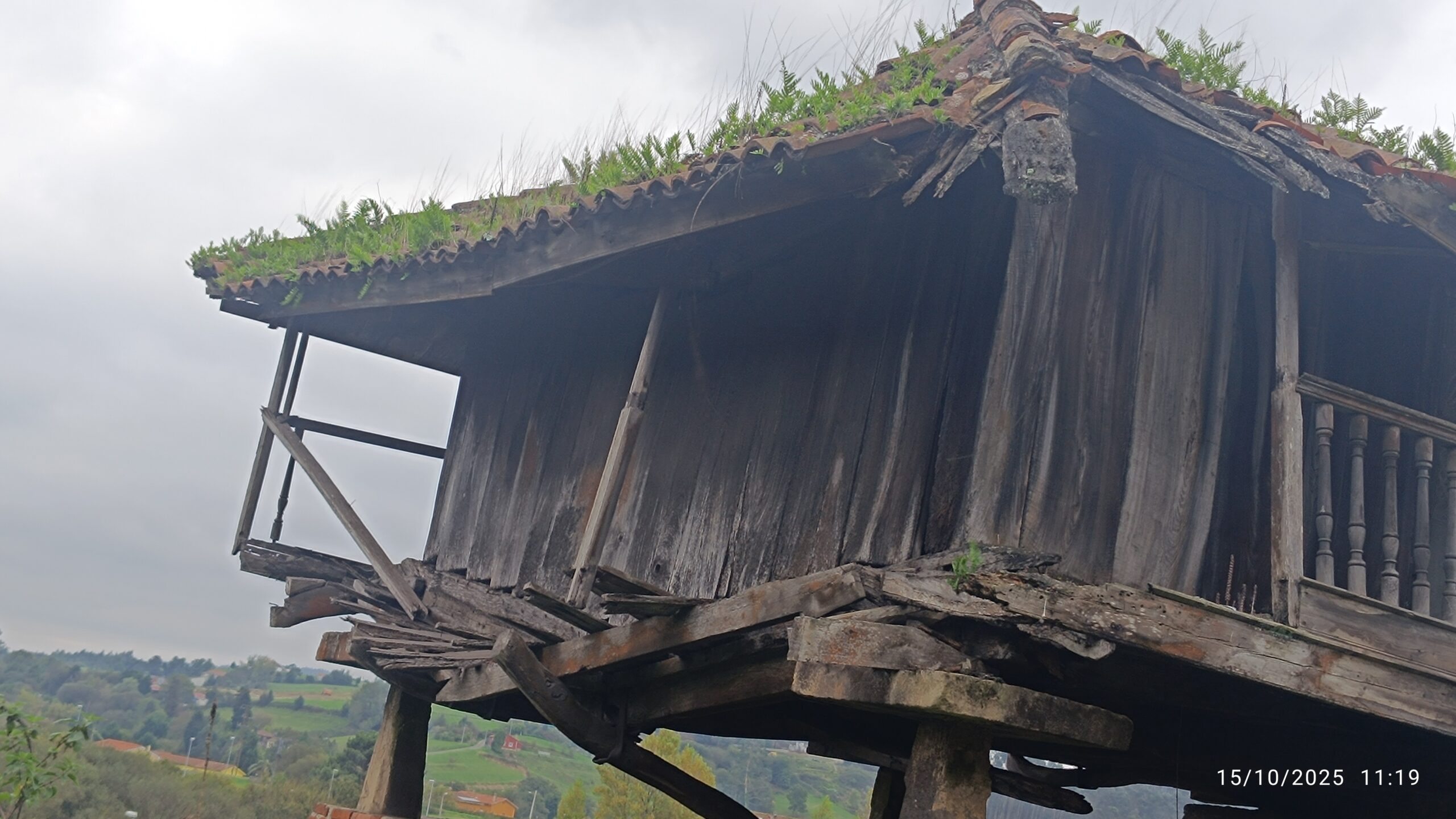 semeya-15.10.2025-4-panera.LaVallina-Tamón-Carreño-