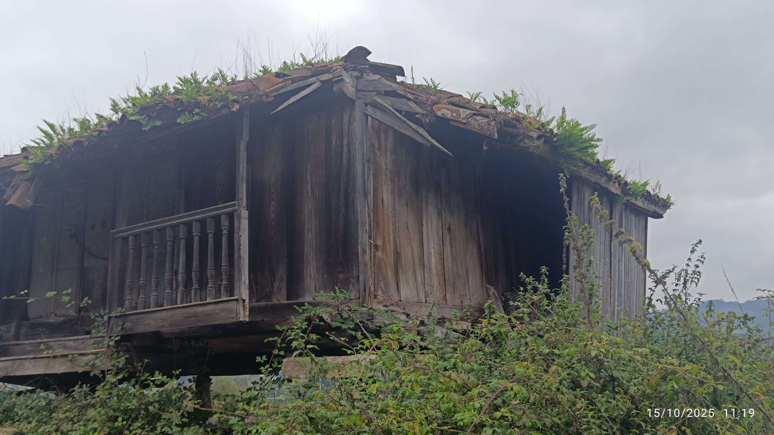 semeya-15.10.2025-5-panera.LaVallina-Tamón-Carreño-