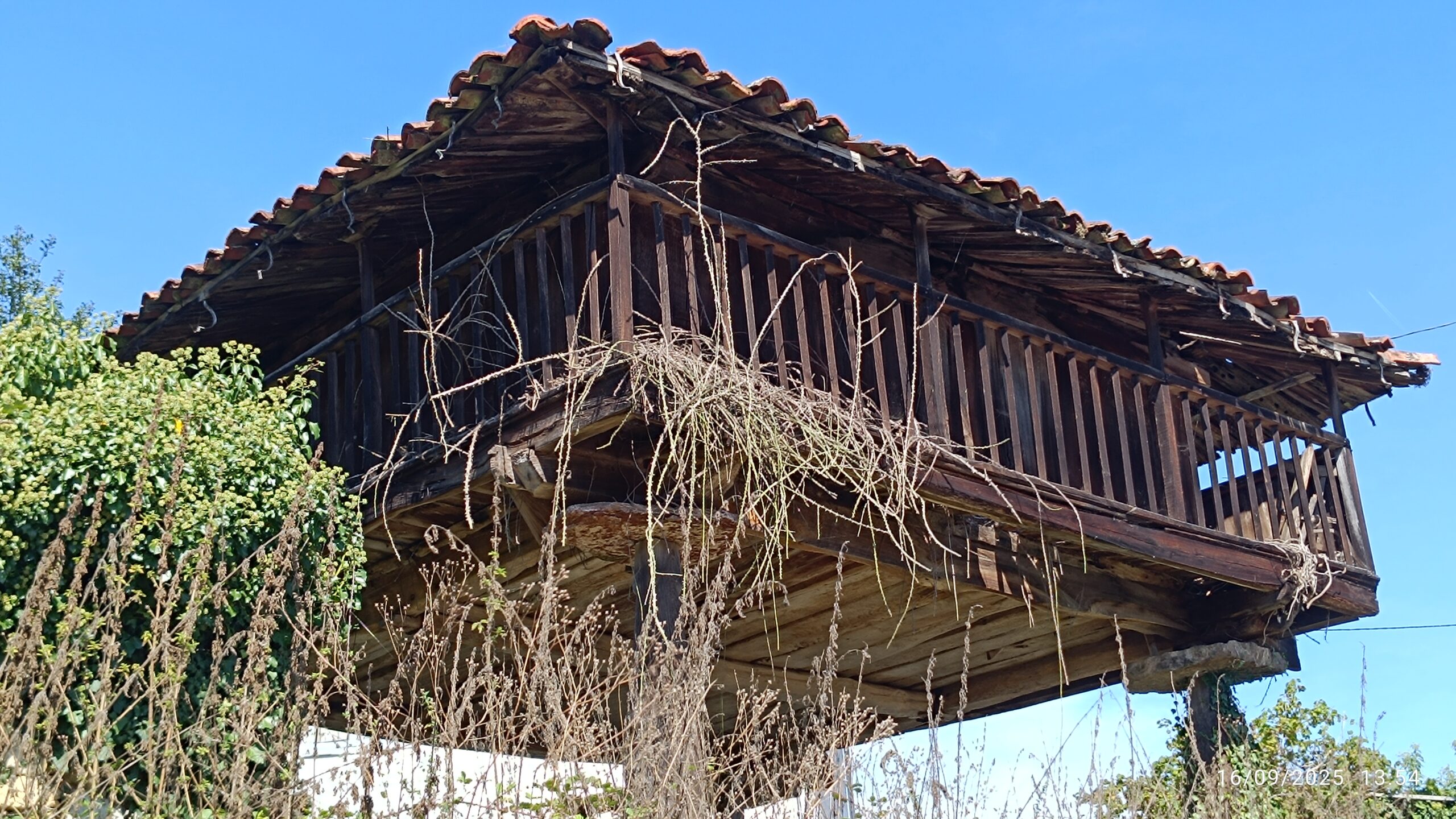 semeya-16.09.2025-6-horru.01.Barréu-Grau-