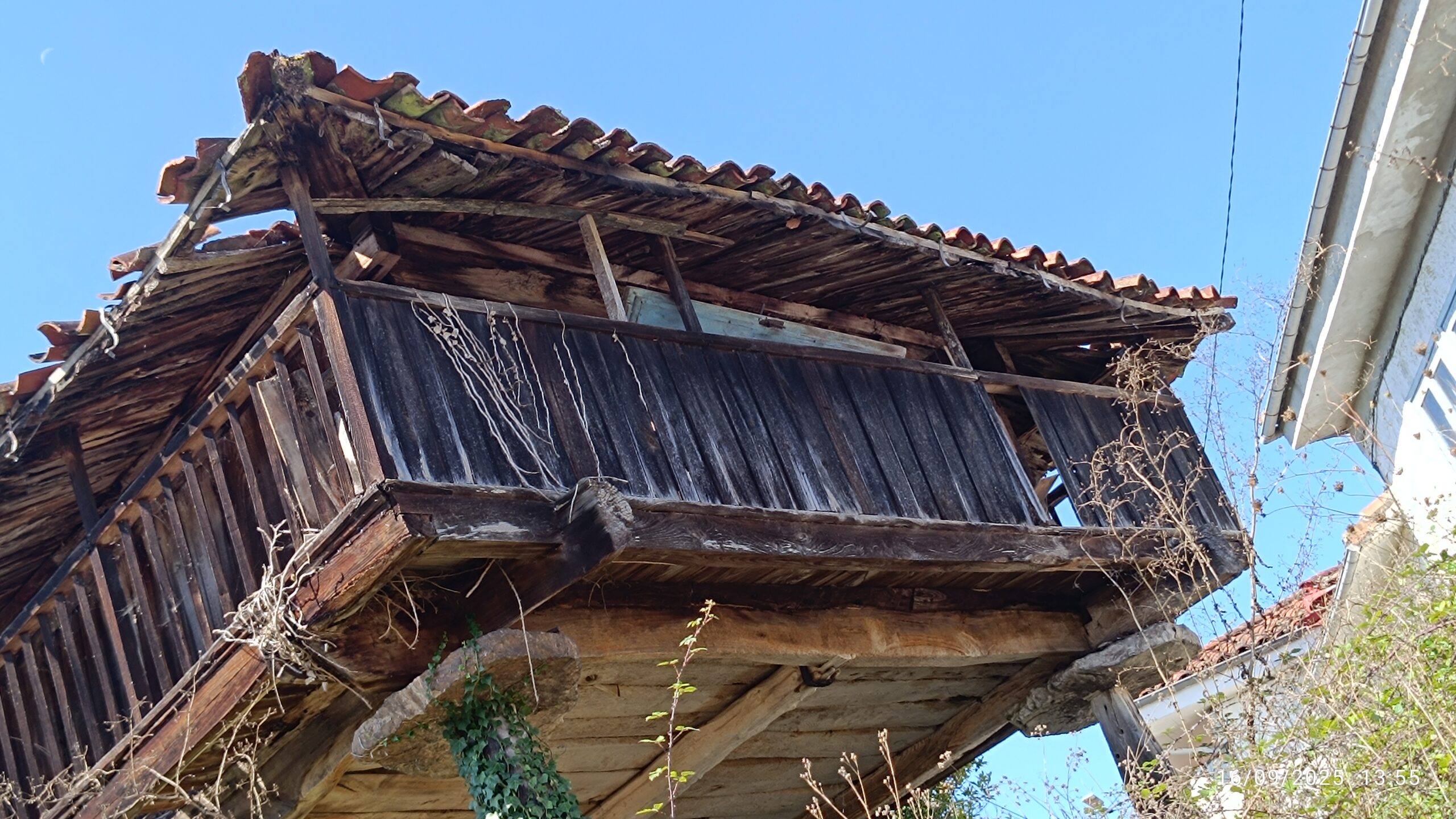 semeya-16.09.2025-7-horru.01.Barréu-Grau-