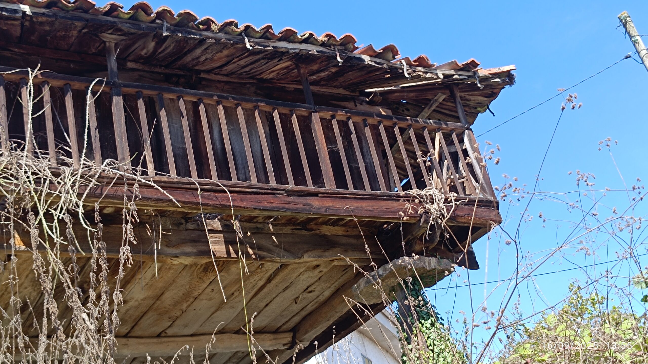 semeya-16.09.2025-8-horru.01.Barréu-Grau-