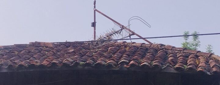 semeya-2-MarcosAbel-horru.02.ElTragamón-Cefontes-Xixón-04.06.2025