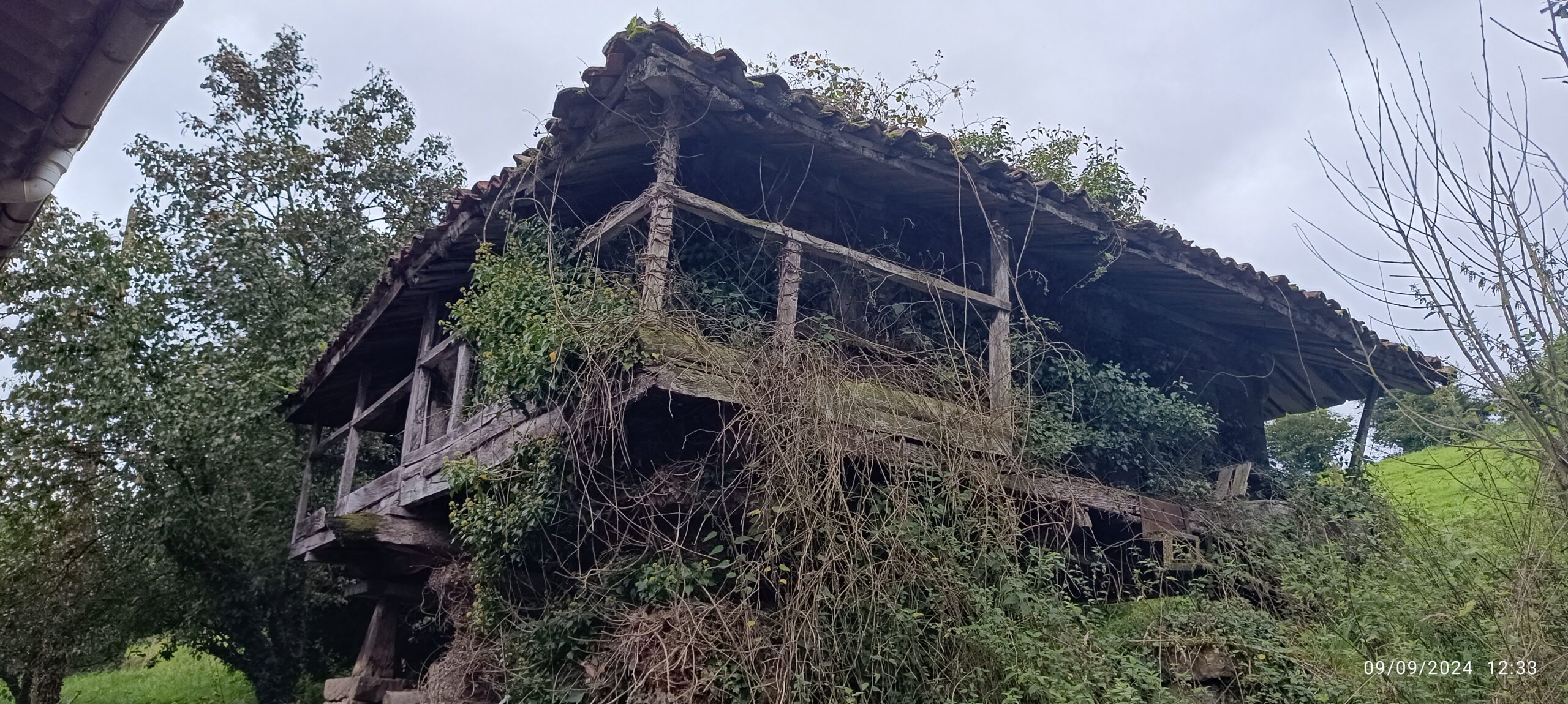 semeya-2-panera.Santianes-Grau-09.09.2024