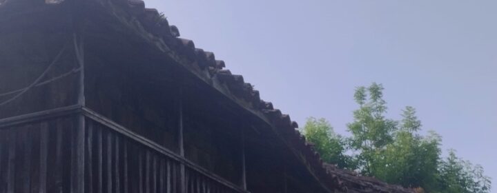 semeya-3-MarcosAbel-horru.02.ElTragamón-Cefontes-Xixón-04.06.2025