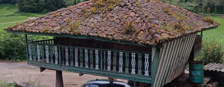 semeya-3-horru.Colloto.Perlora-Carreño-01.05.2025-2500×2100