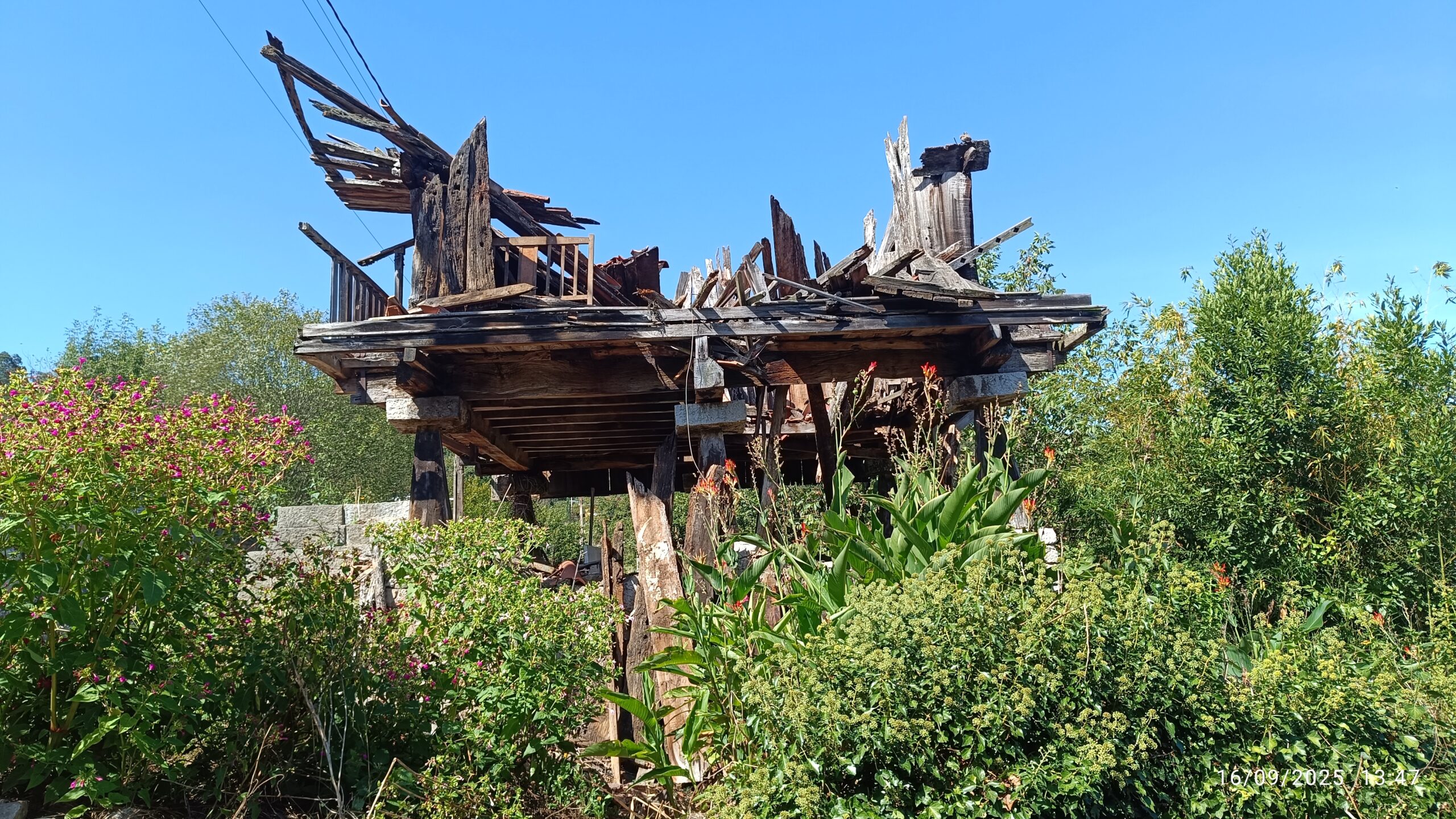 semeya-4-horru.01.Fozante-Grau-16.09.2025