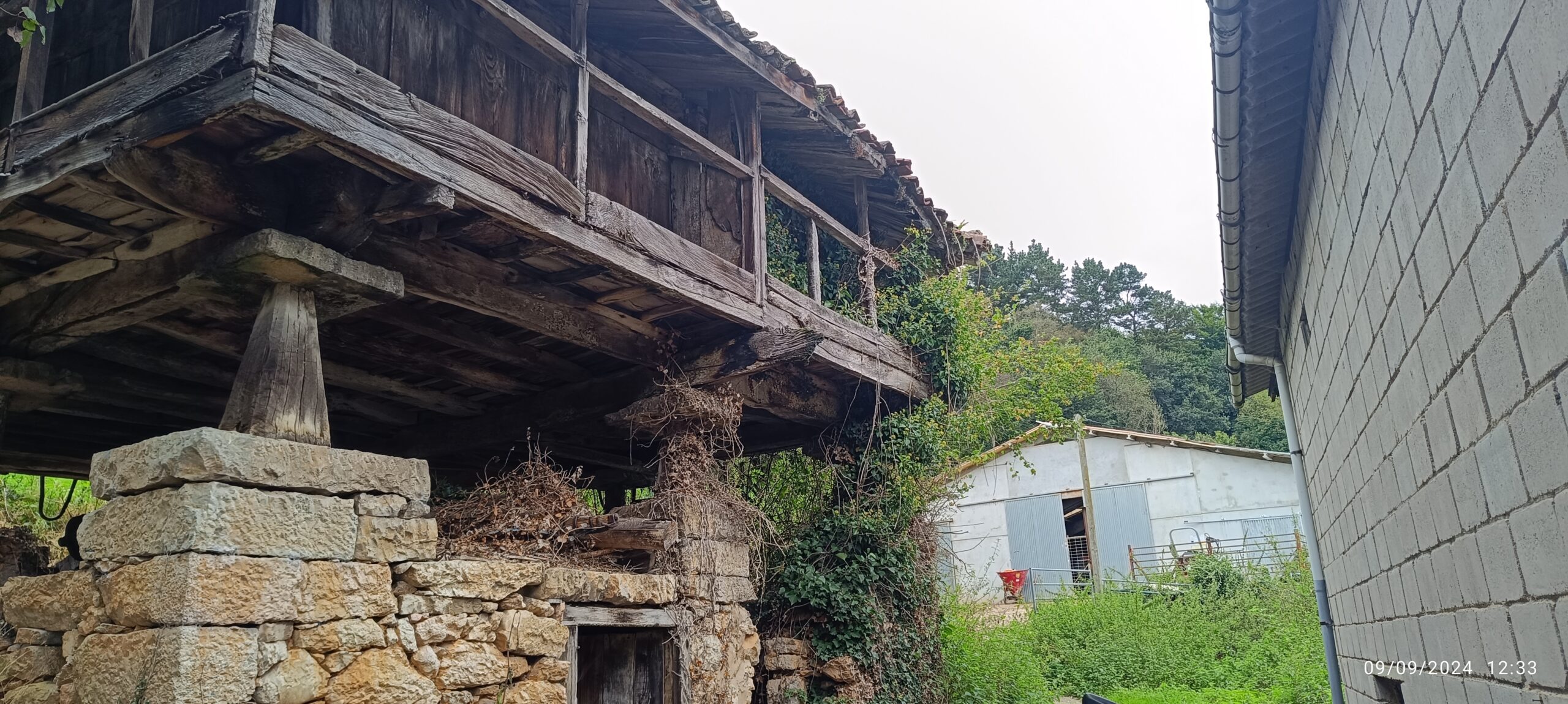 semeya-4-panera.Santianes-Grau-09.09.2024