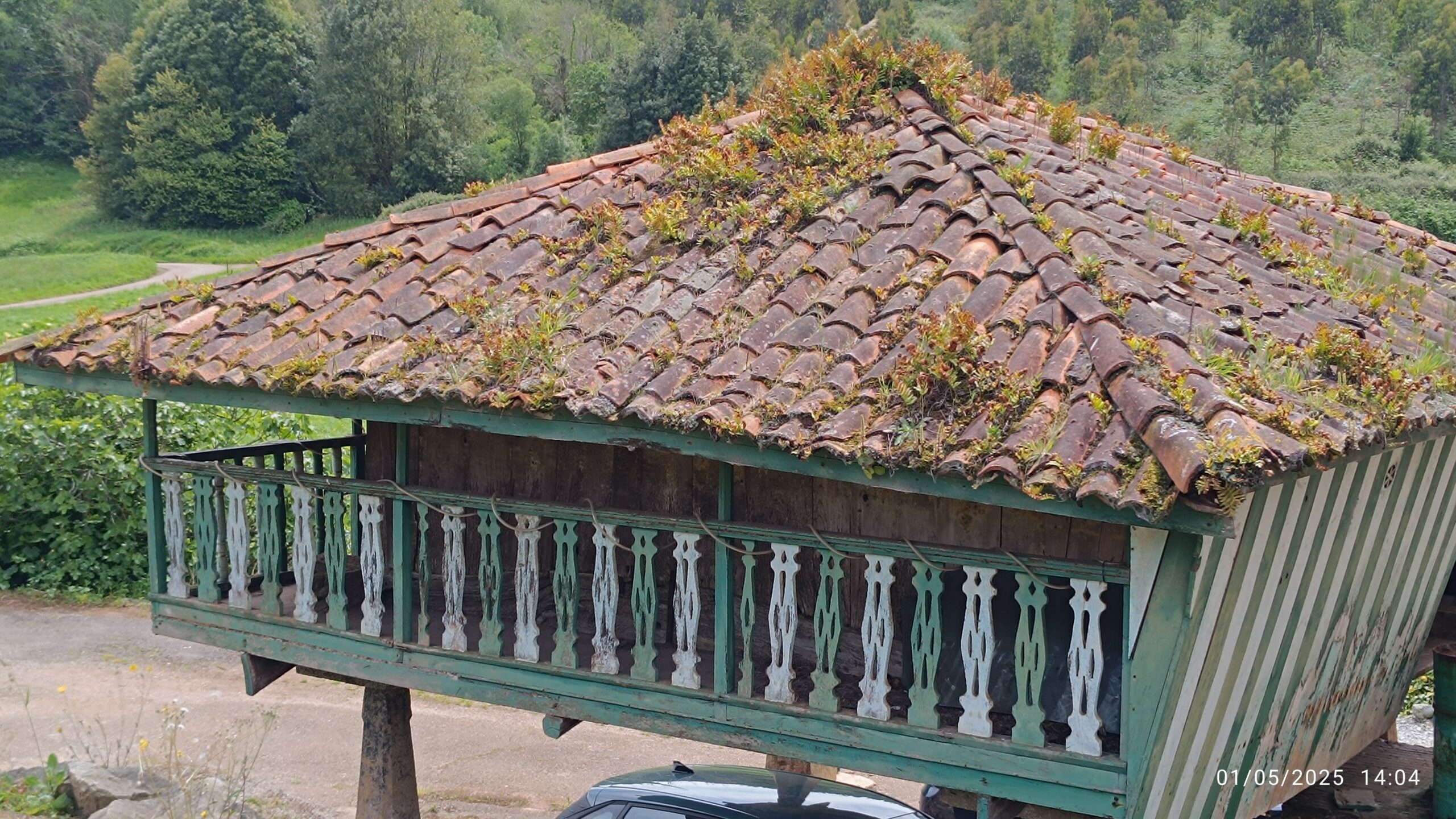 semeya-5-horru.Colloto.Perlora-Carreño-01.05.2025