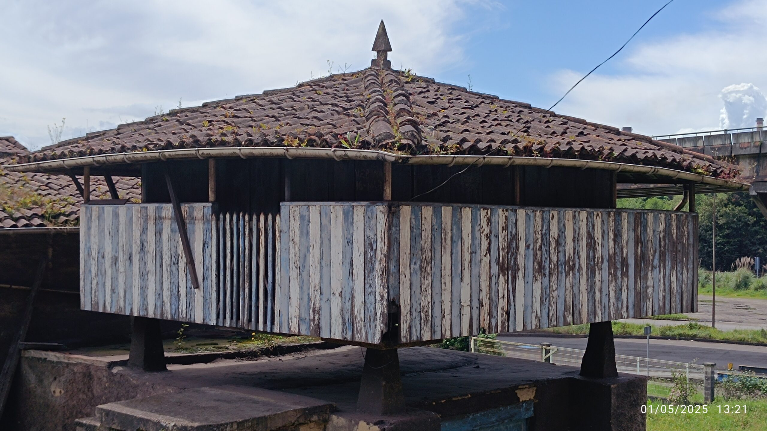 semeya-5-horru.VeriñadeBaxo-Xixón-01.05.2025