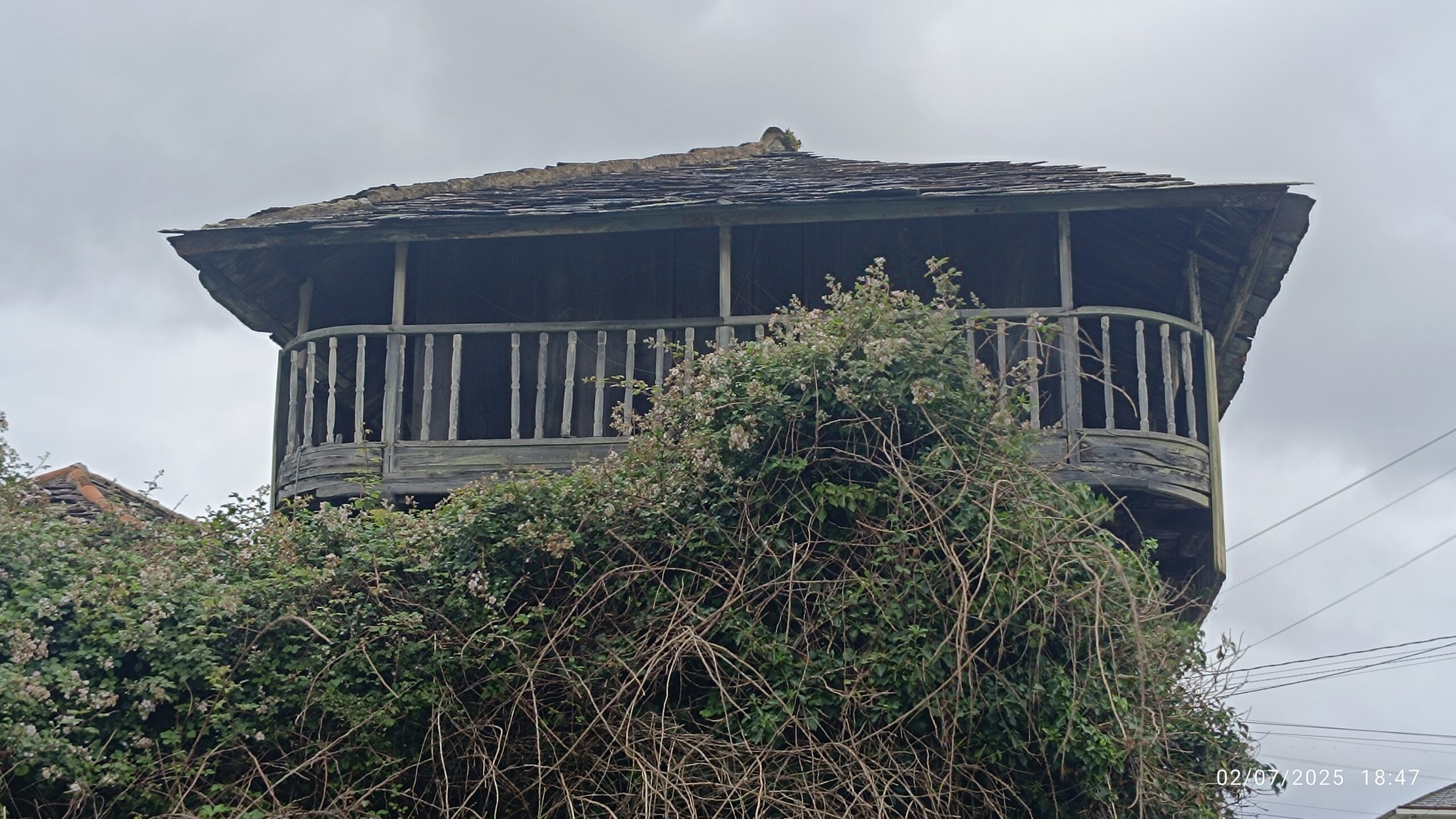 semeya-5-panera.02,Bustu-Valdés-02.07.2025