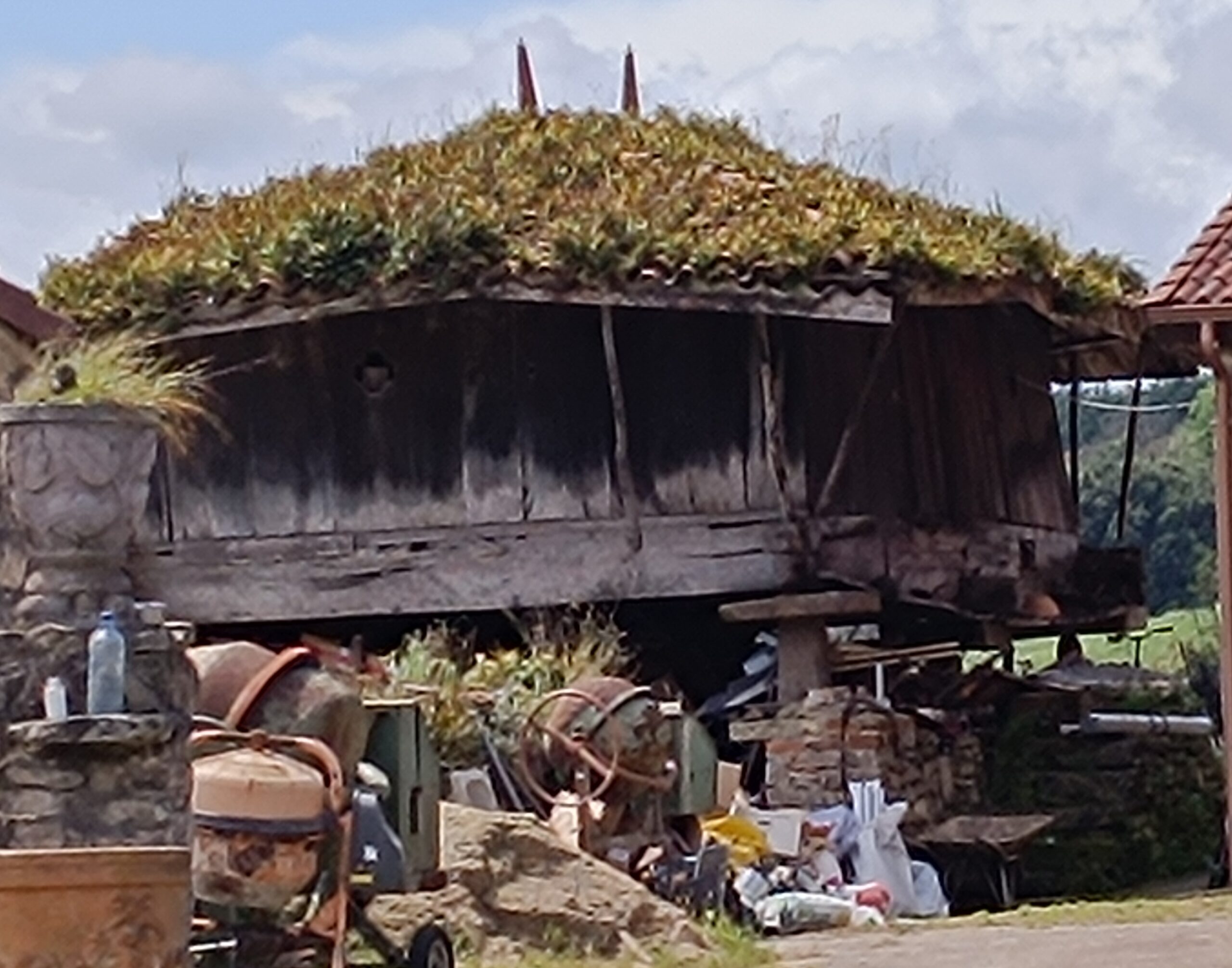 semeya-5-panera.VeriñadeRiba-Xixón-01.05.2025-2800×2200