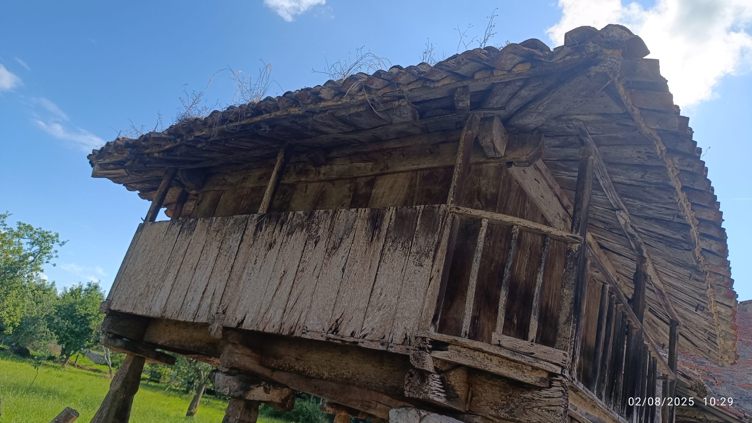 semeya-6-horru.02.PosadalaVieya-Posada-Llanes-02.08.2025