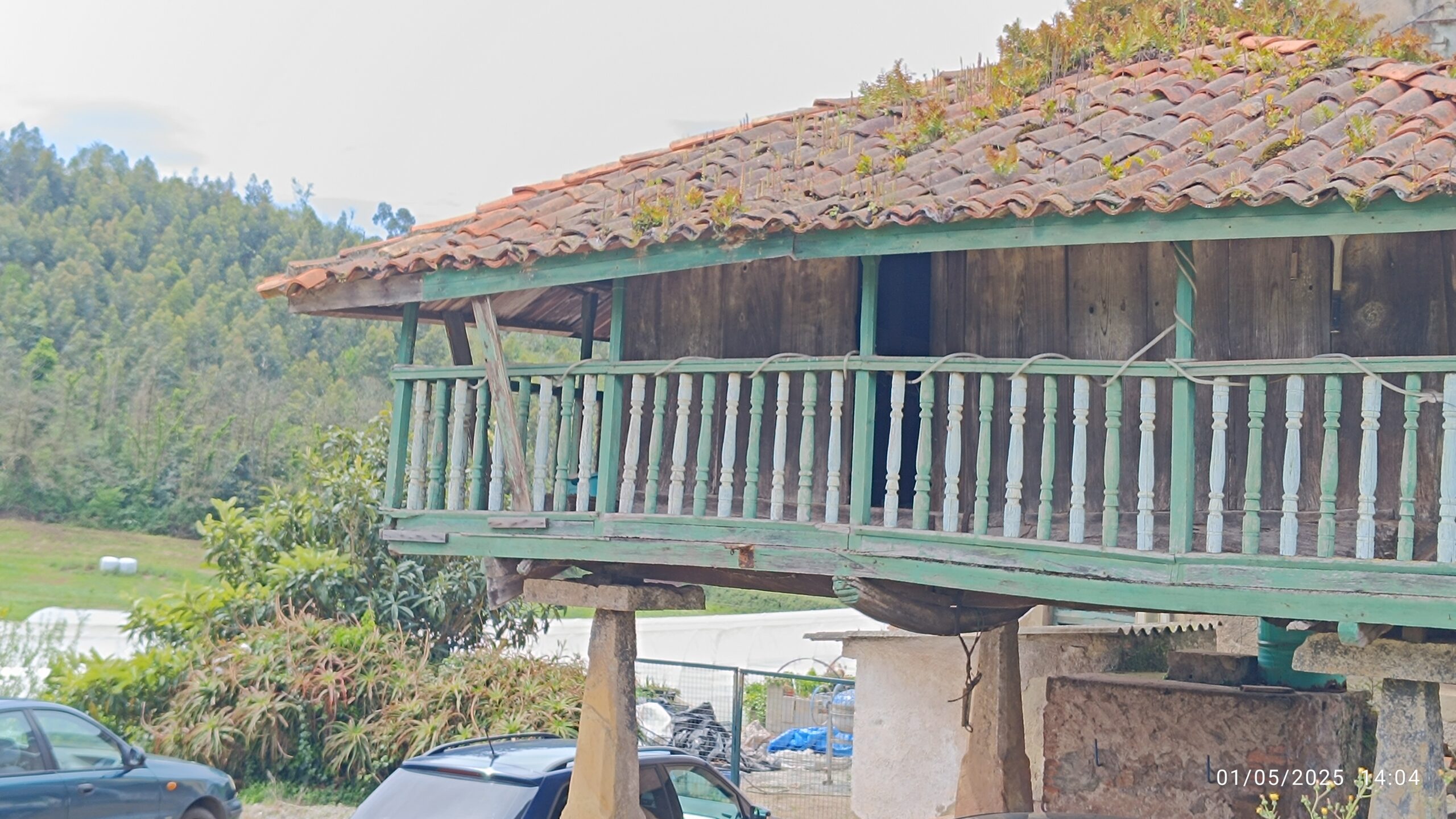 semeya-6-horru.Colloto.Perlora-Carreño-01.05.2025