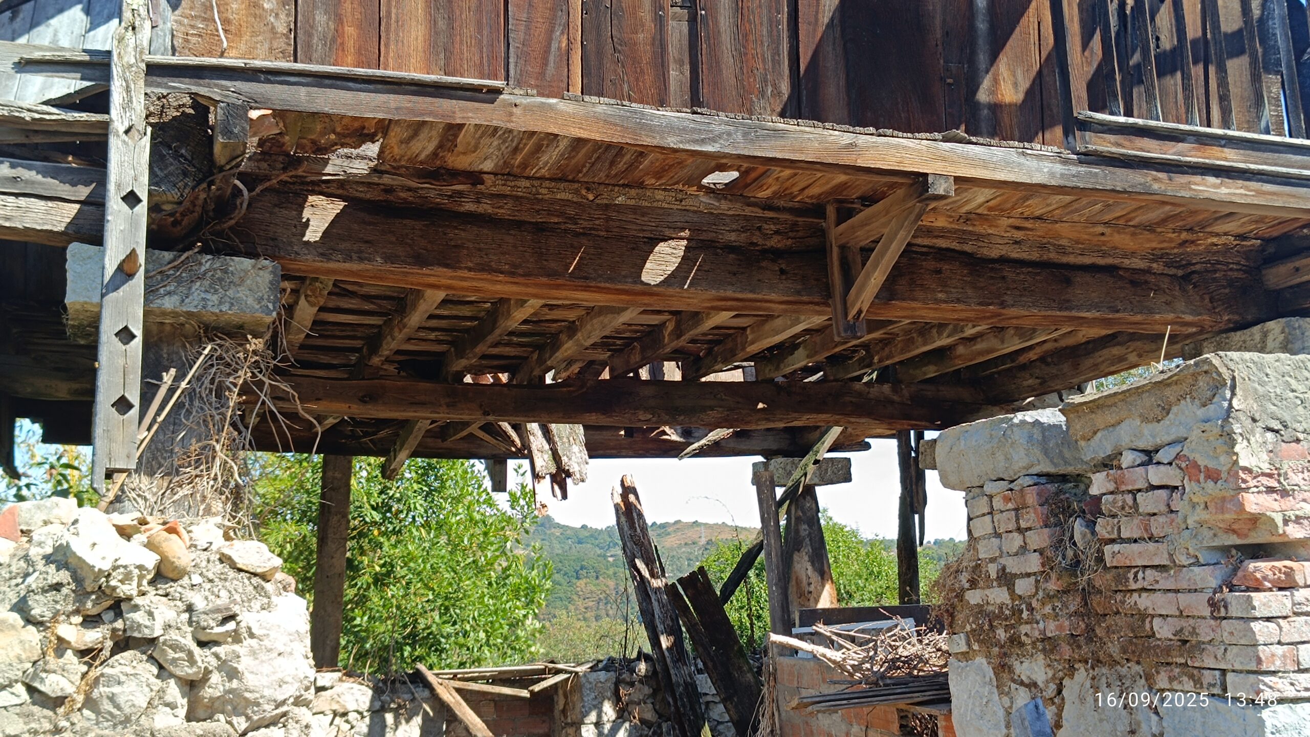 semeya-7-horru.01.Fozante-Grau-16.09.2025