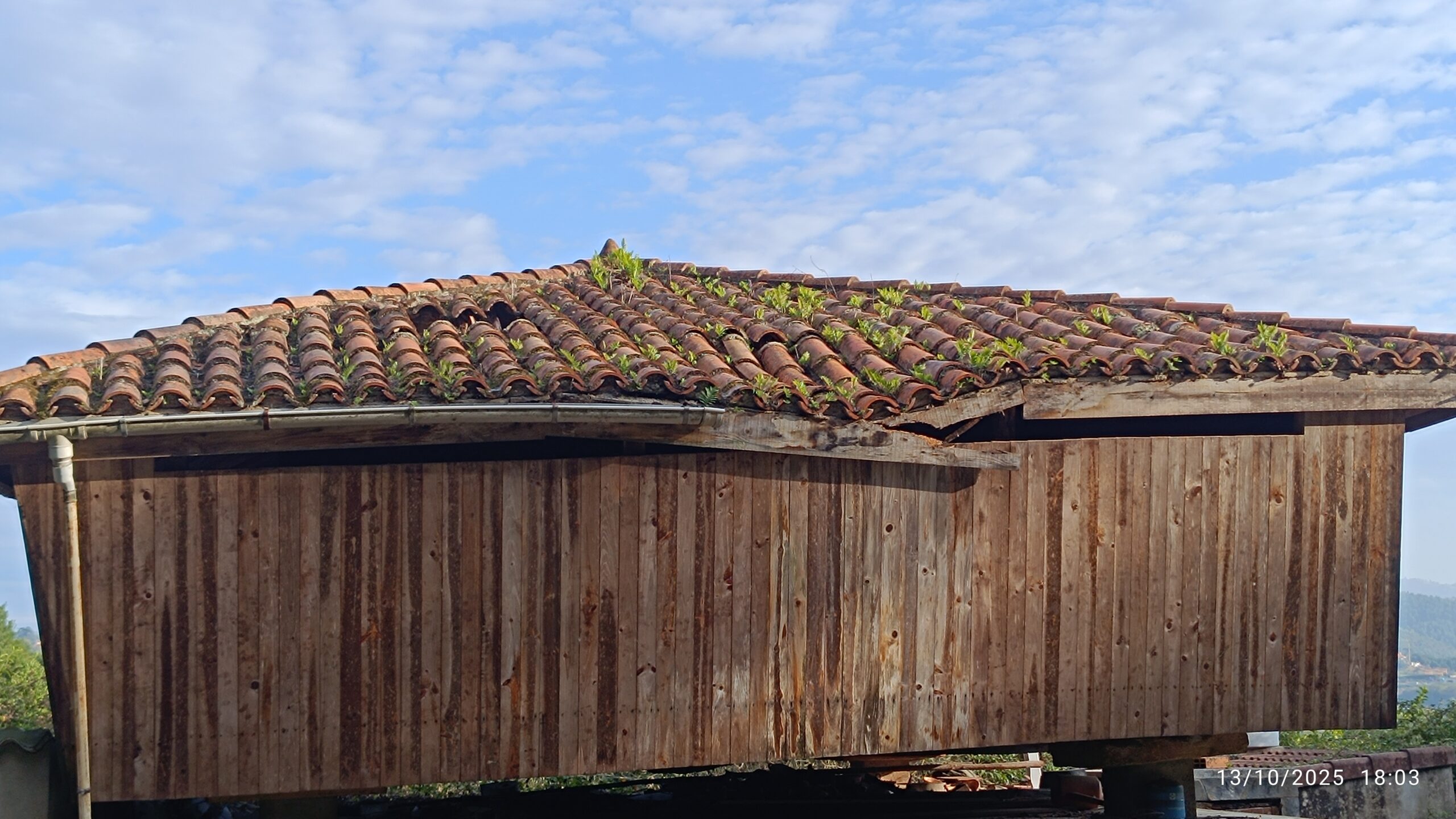 semeya-13.10.2025-4-horru.01.Fancubierta-SotulBarcu-