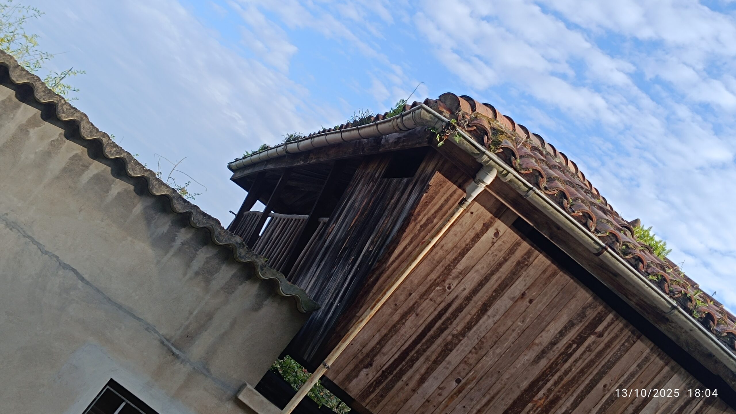 semeya-13.10.2025-5-horru.01.Fancubierta-SotulBarcu-