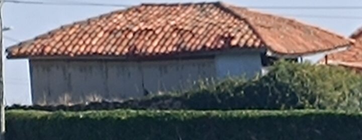 semeya-15.10.2025-1-panera.01.ElFerriru-Gozón-1600×1200