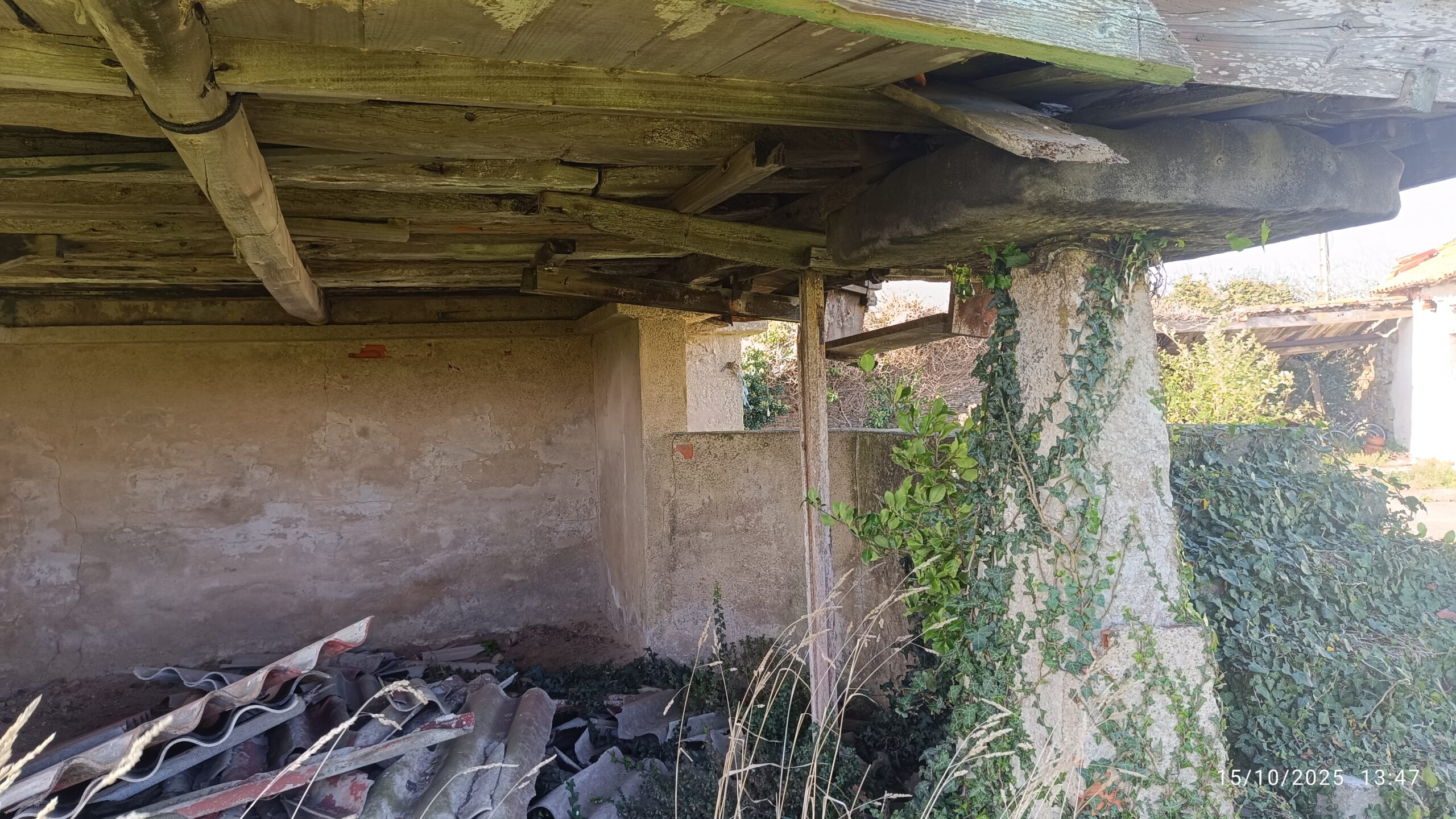 semeya-15.10.2025-10-horru.02.ElFerriru-Gozón-