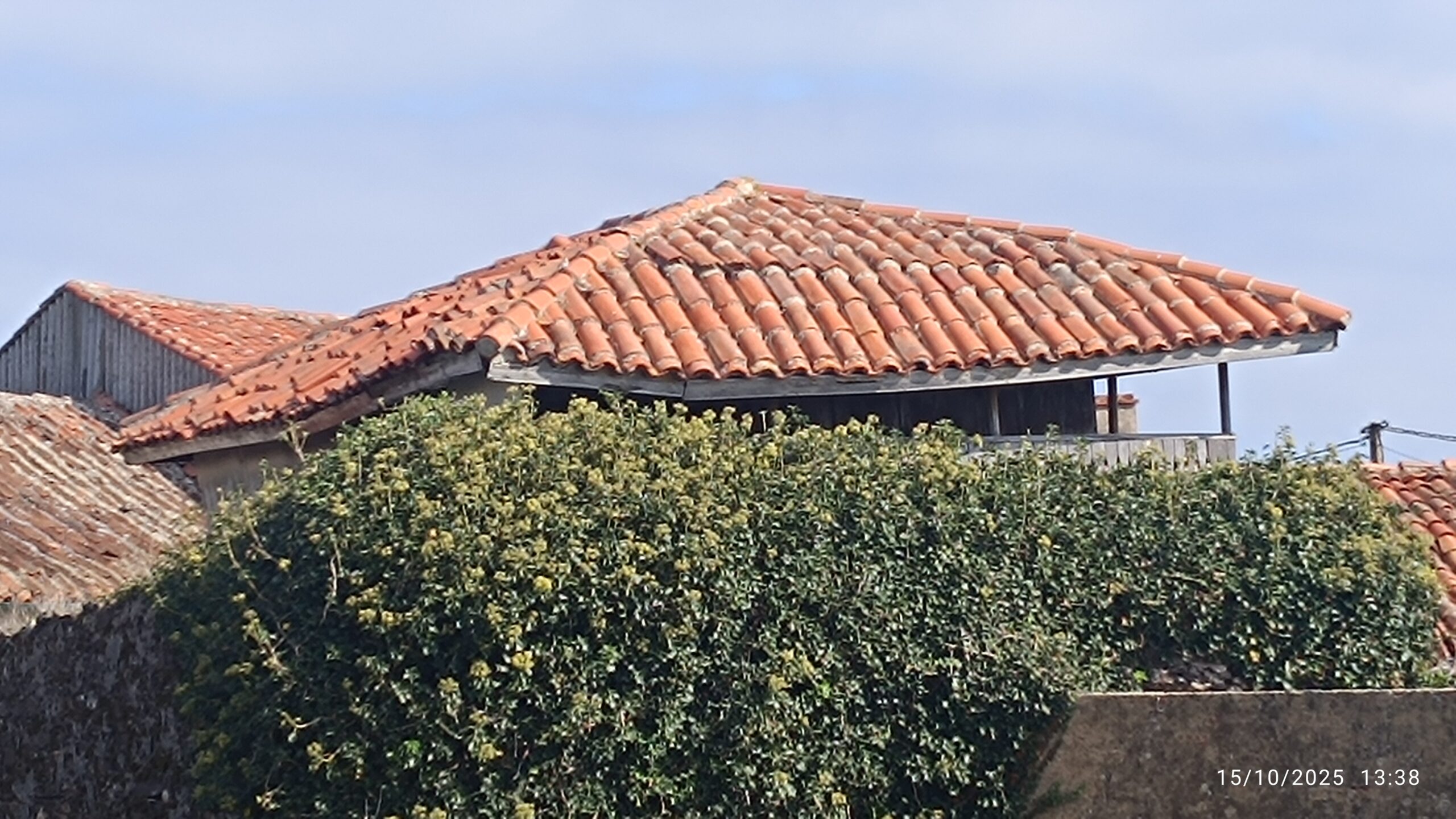 semeya-15.10.2025-4-panera.01.ElFerriru-Gozón-