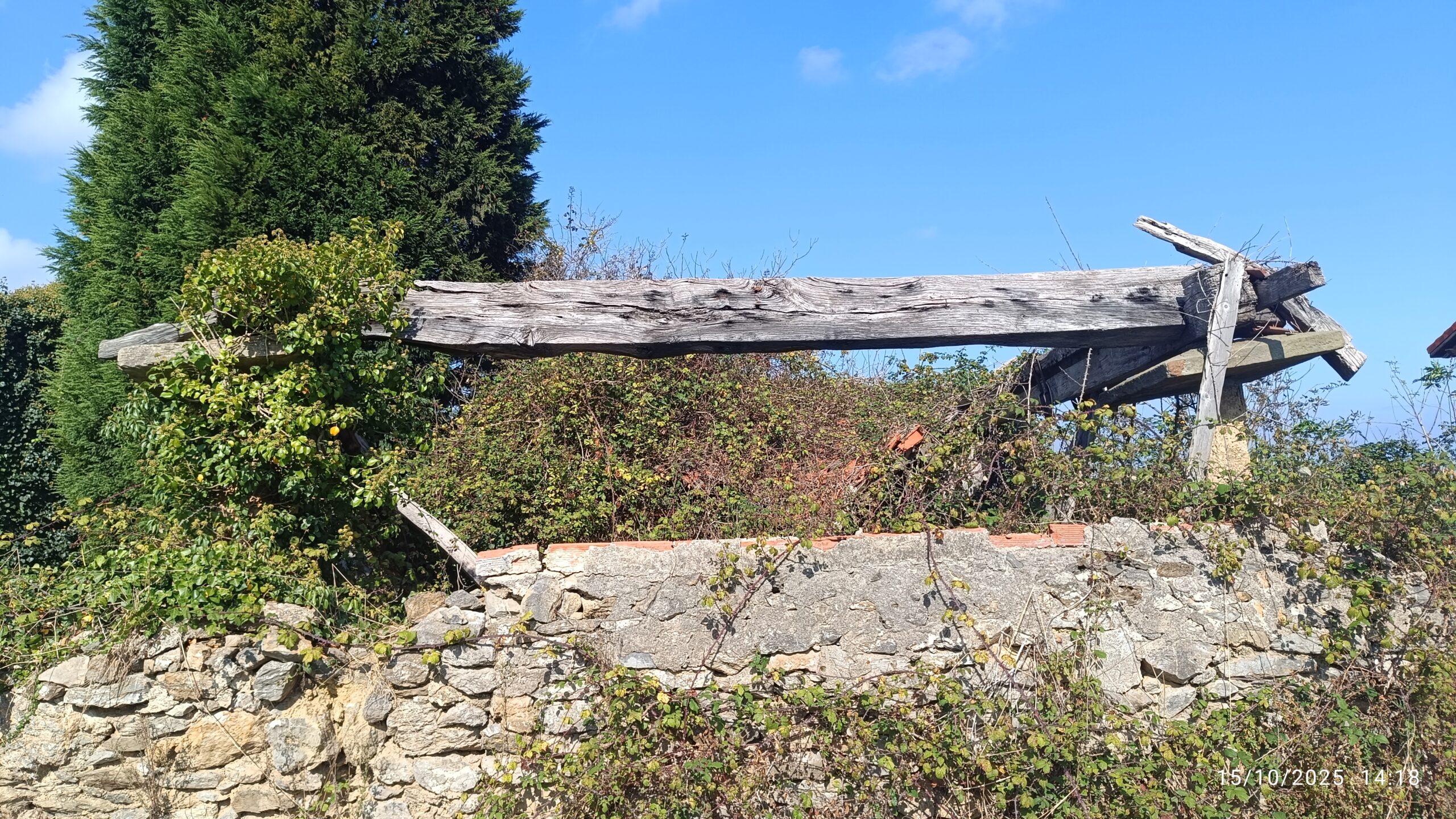 semeya-15.10.2025-4-panera.04.Montoril-SamartíndePodes-Gozón-