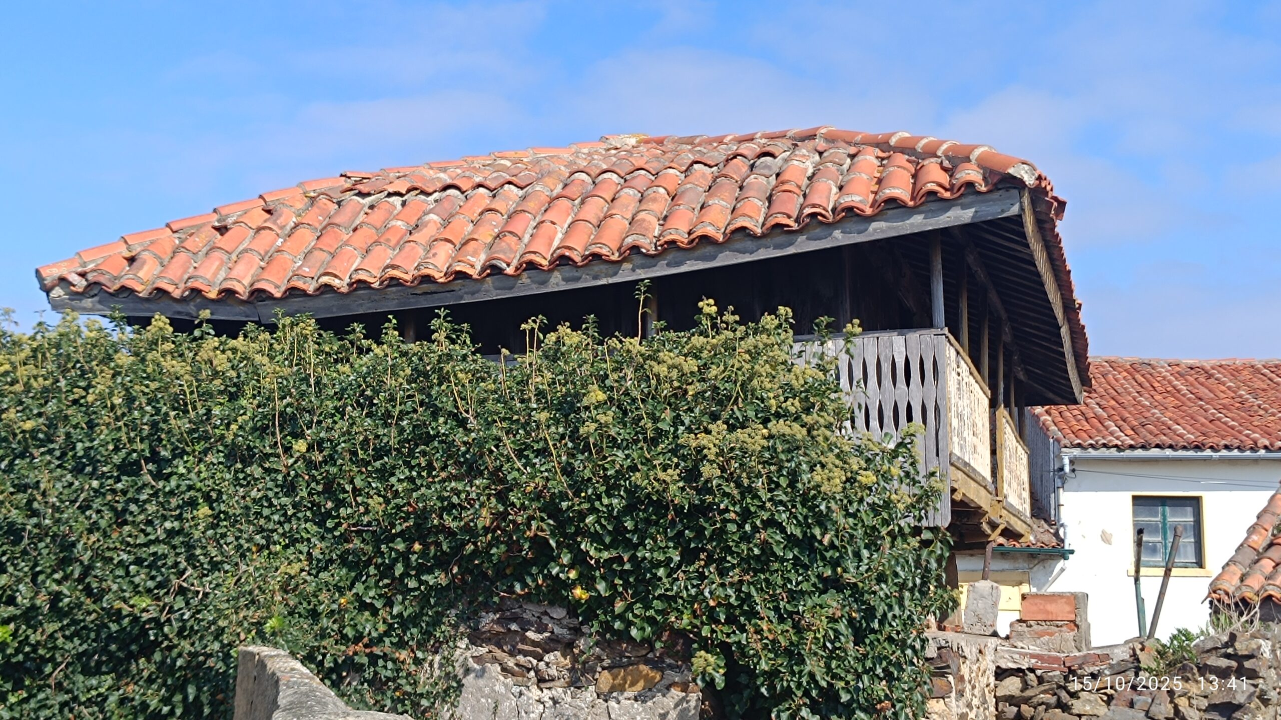 semeya-15.10.2025-7-panera.01.ElFerriru-Gozón-