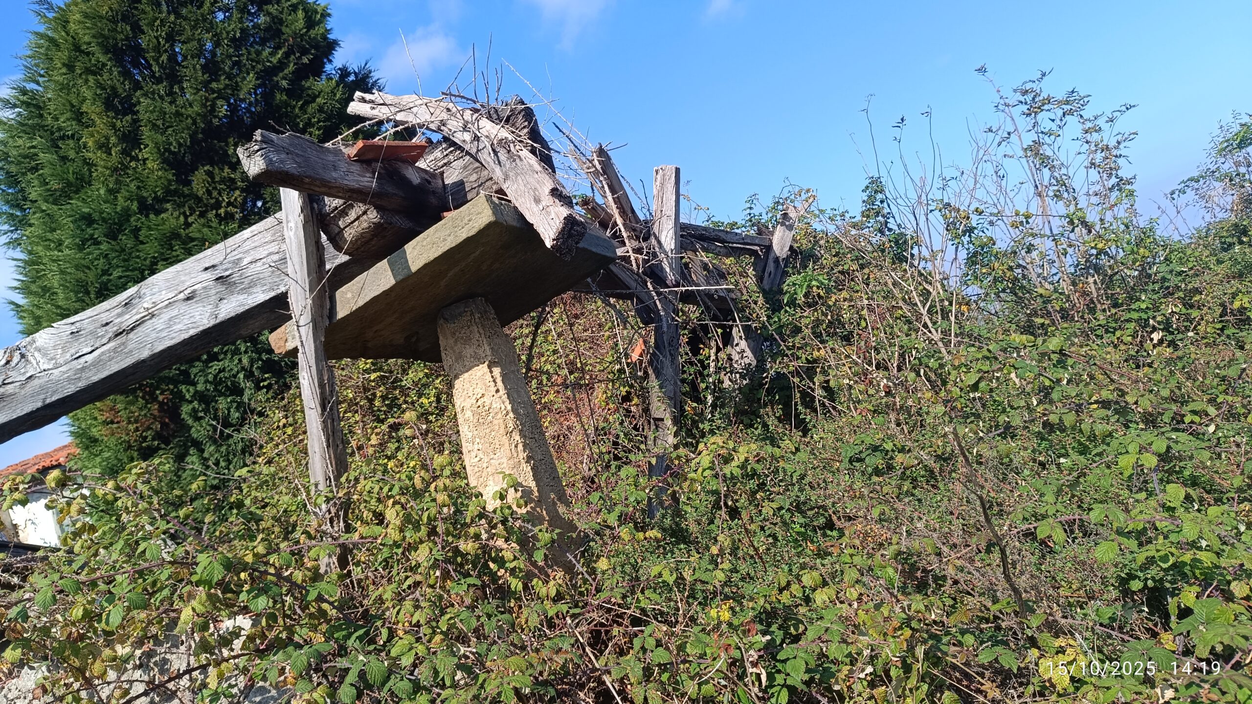 semeya-15.10.2025-7-panera.04.Montoril-SamartíndePodes-Gozón-