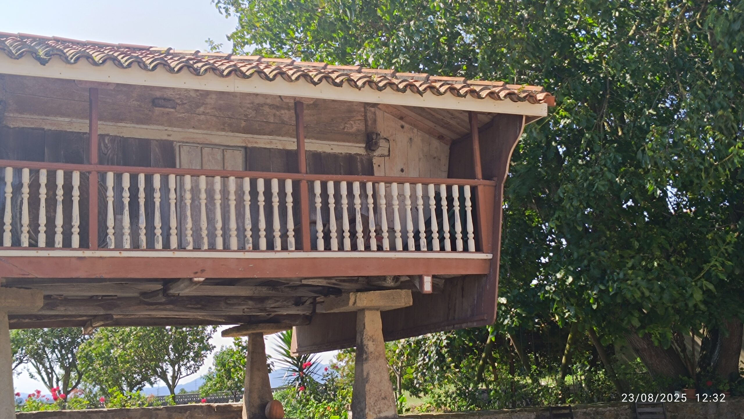 semeya-23.08.2025-7-panera.IboyaRiba-Gozón-