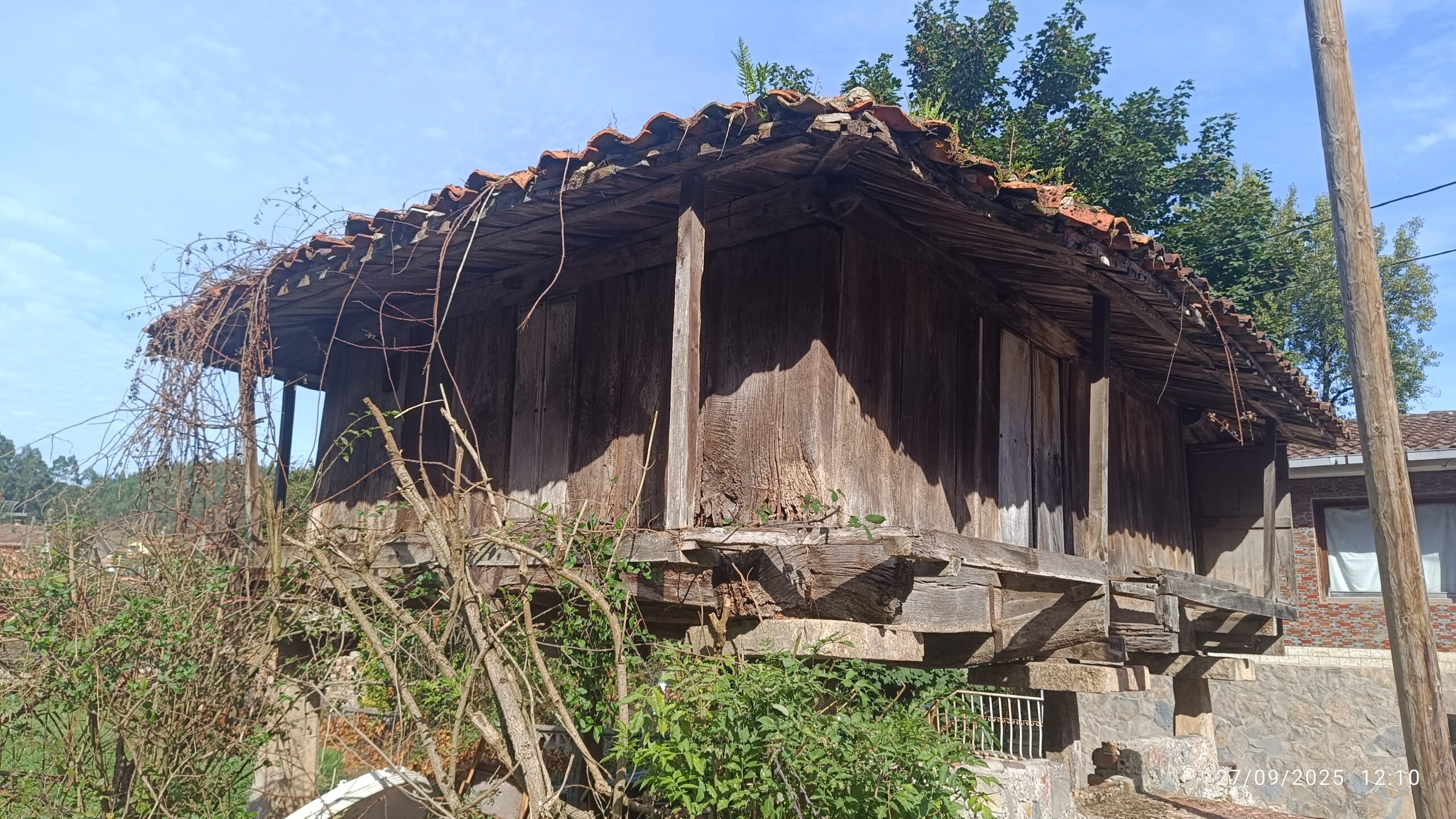 semeya-27.09.2025-3-panera.01.LasBárzanas-Castrillón-