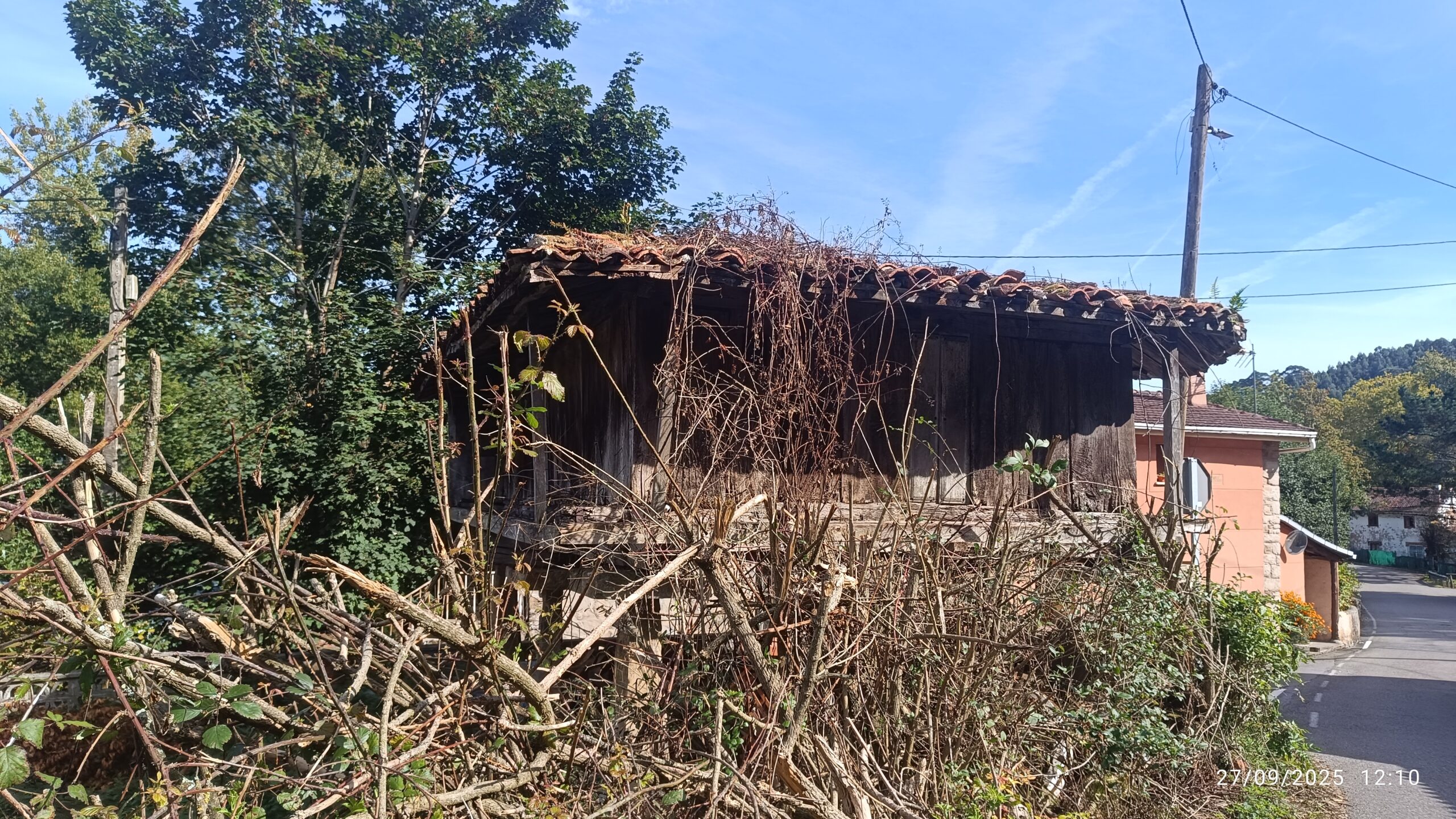 semeya-27.09.2025-4-panera.01.LasBárzanas-Castrillón-