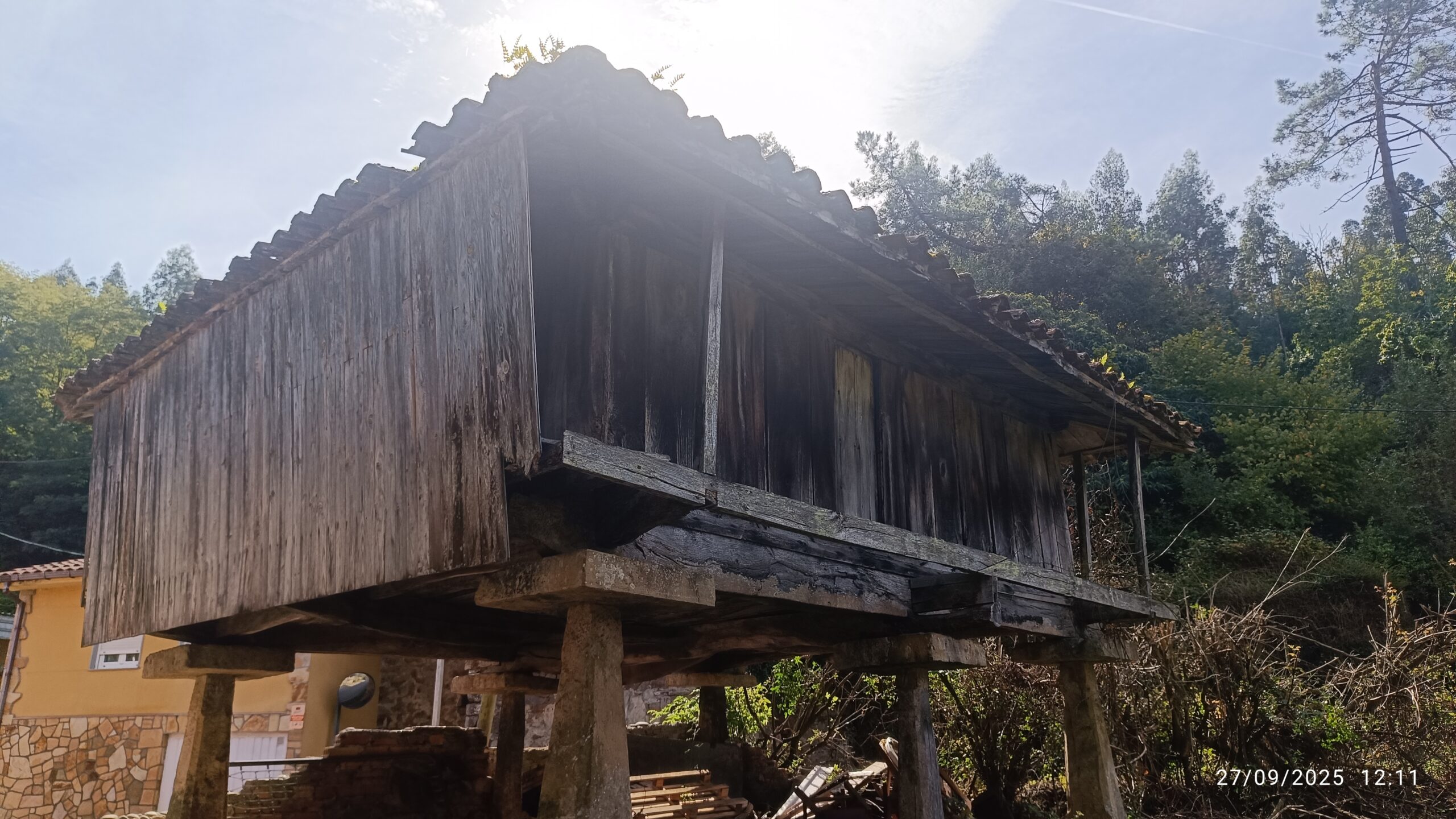 semeya-27.09.2025-6-panera.01.LasBárzanas-Castrillón-