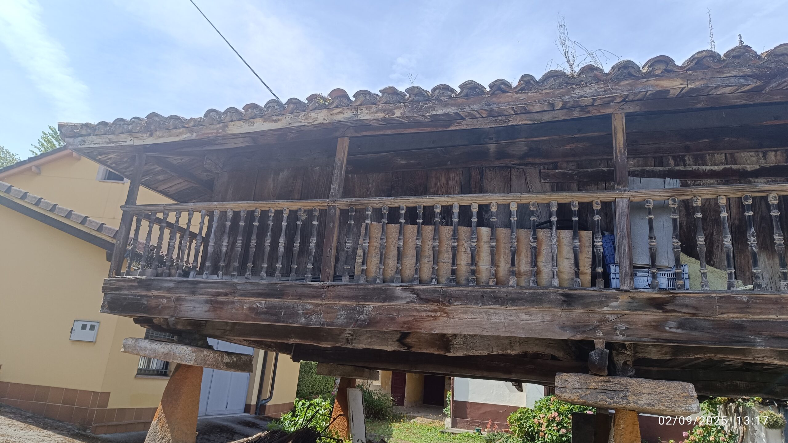 semeya-02.09.2025-9-panera.LosPraos-Cualloto-Uviéu-