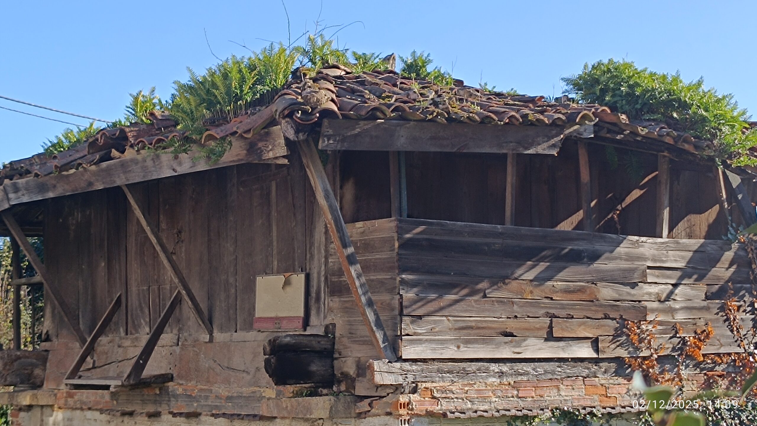 semeya-02.12.2025-7-horru.LaEstación-Llugo-Llanera-
