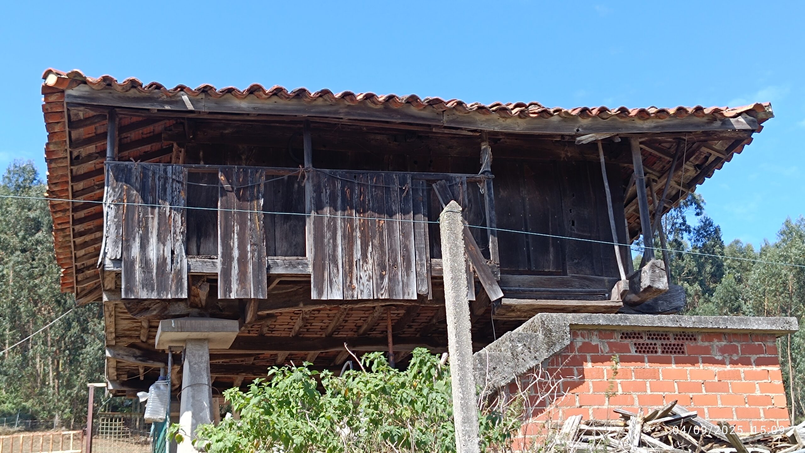 semeya-04.09.2025-4-horru.Montiana-Xixón-