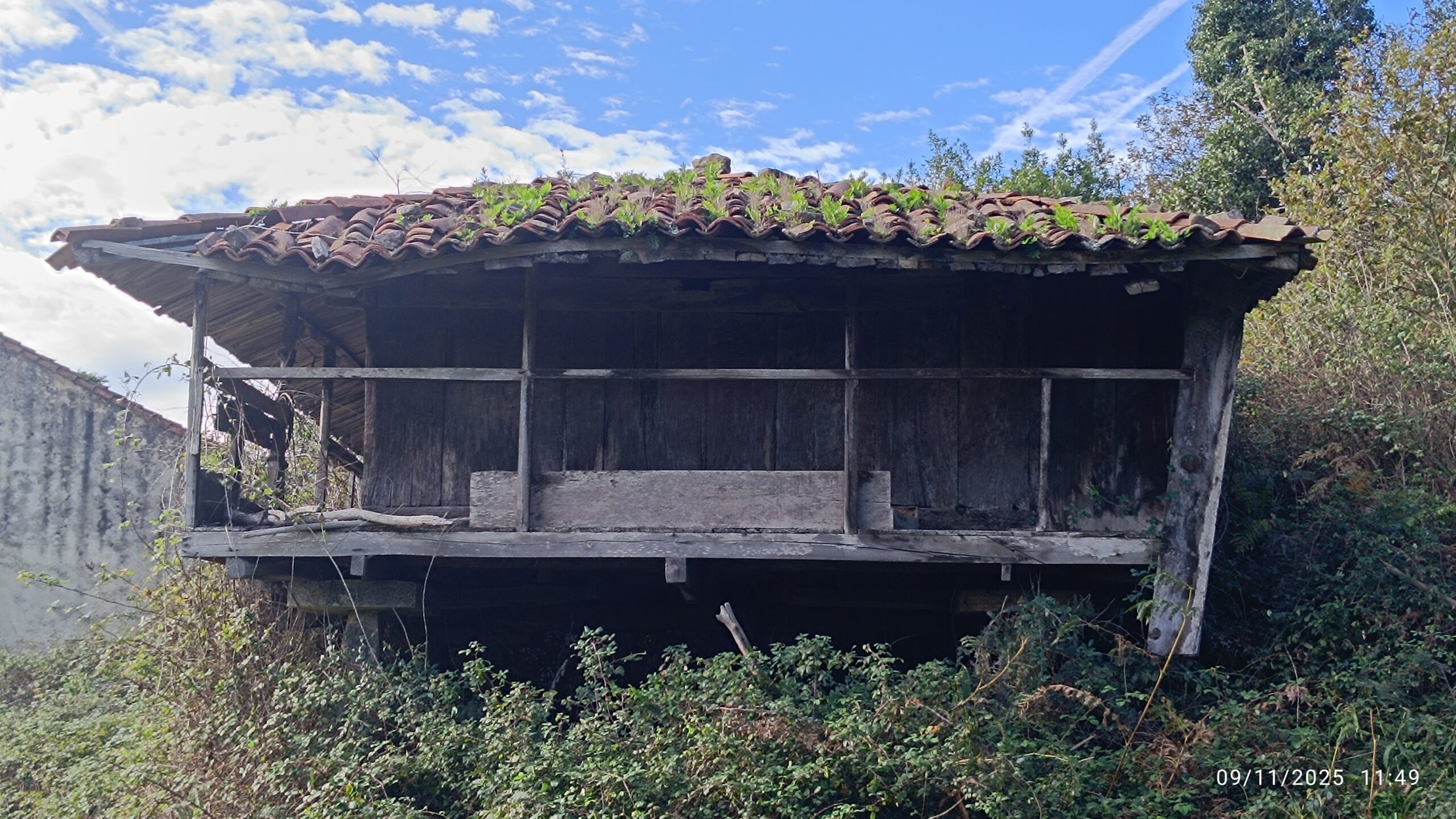 semeya-09.11.2025-6-horru.El Cantu-Llorgozana-Carreño-