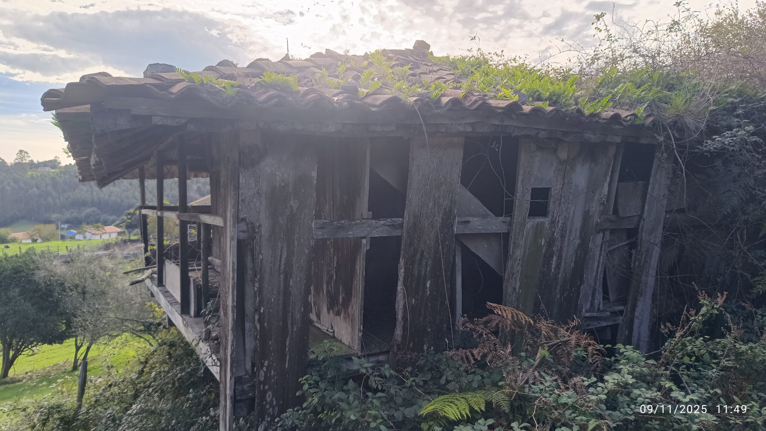 semeya-09.11.2025-7-horru.El Cantu-Llorgozana-Carreño-