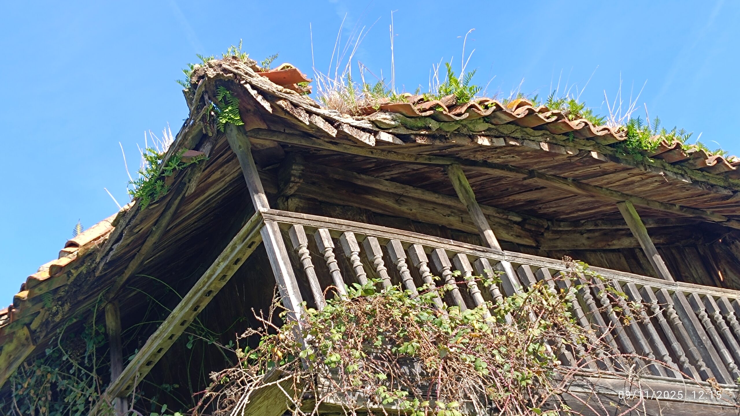 semeya-09.11.2025-9-panera.02.CasaBusto.Castiello-Llorgozana-Carreño-