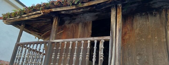 semeya-14.12.2025-3-panera.01.Lluniego-Uviéu