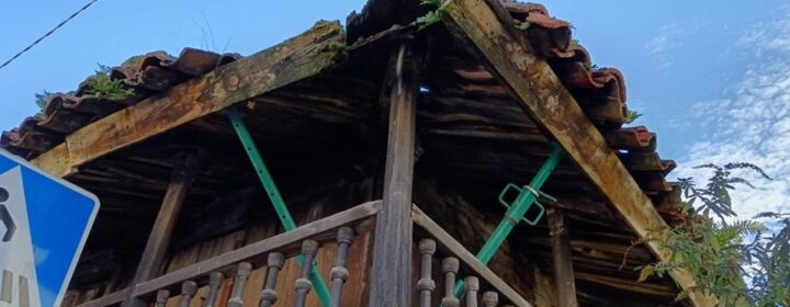 semeya-14.12.2025-4-panera.01.Lluniego-Uviéu