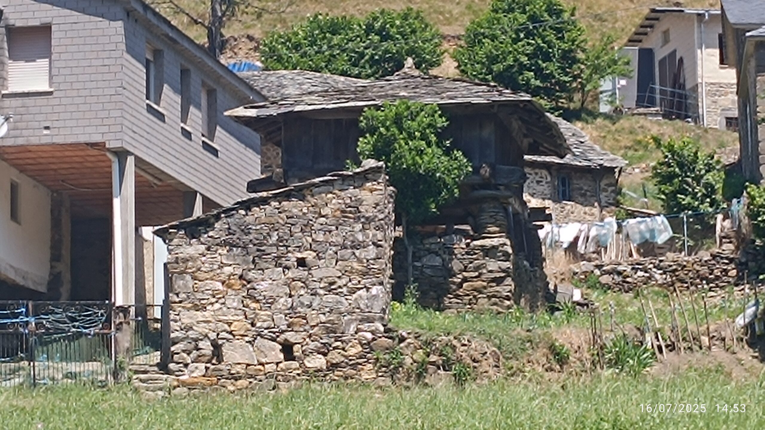 semeya-16.07.2025-3-horru.02.MonesteriudErmu-Cangas-