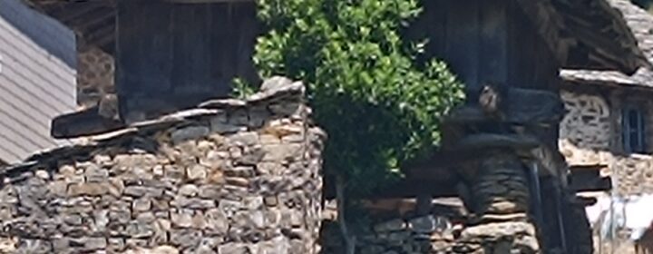 semeya-16.07.2025-3-horru.02.MonesteriudErmu-Cangas-1900×1500