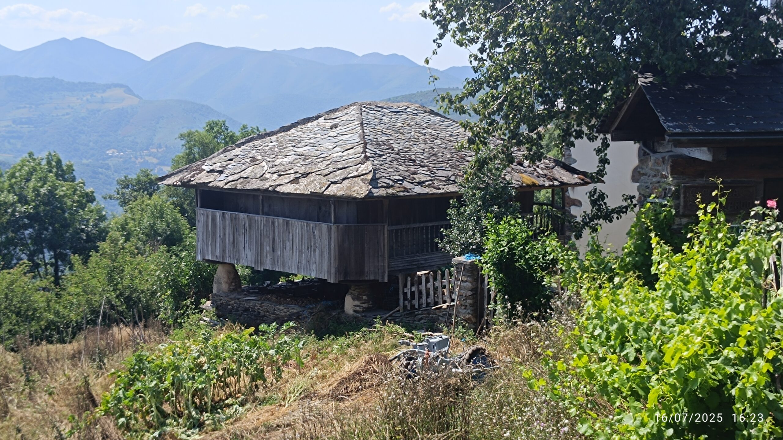 semeya-16.07.2025-3-panera.01.TresmontedArriba-Cangas-