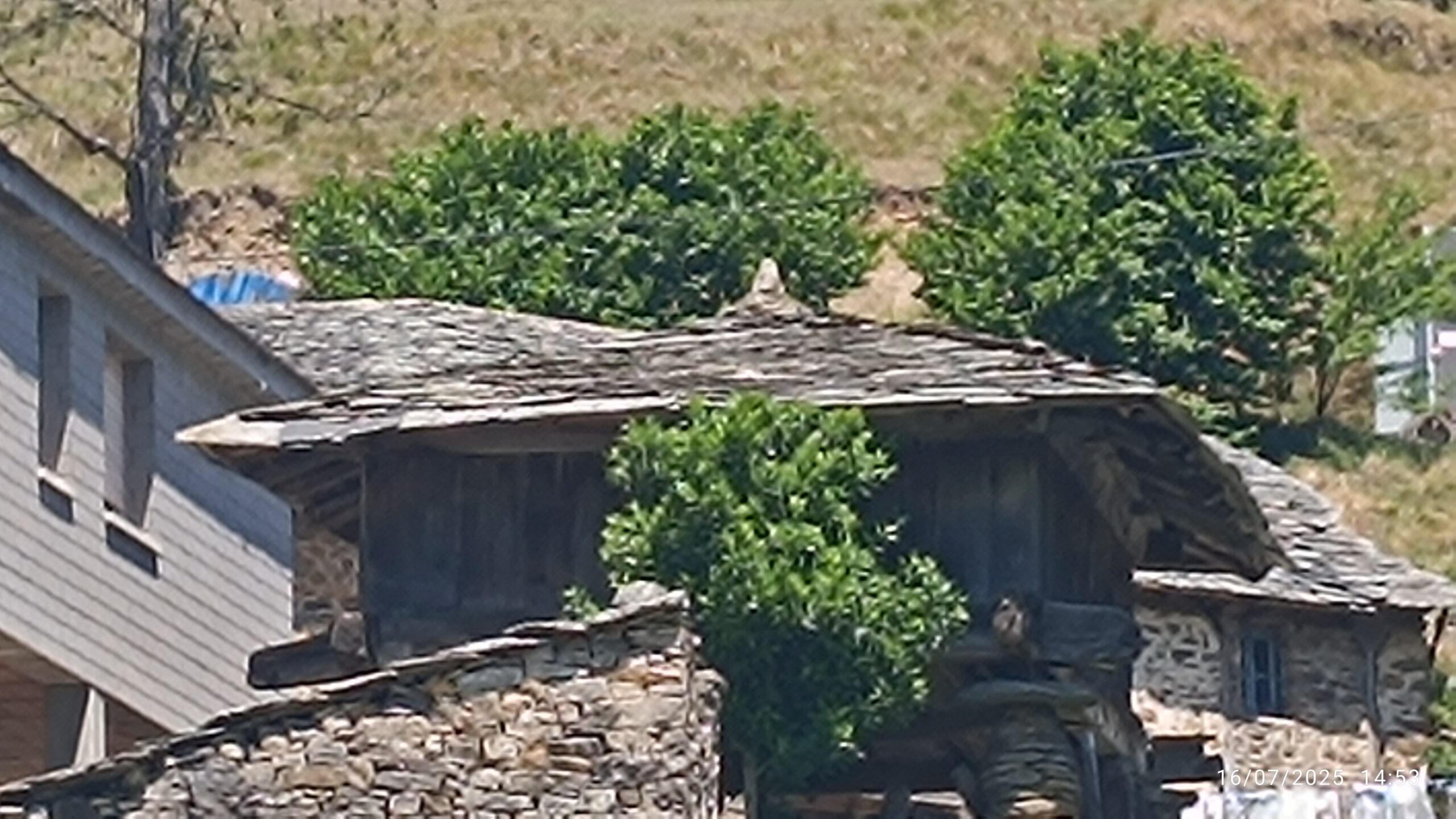 semeya-16.07.2025-4-horru.02.MonesteriudErmu-Cangas-