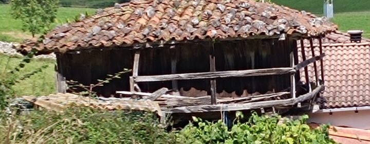 semeya-2-horru.Meruxa-Miranda-09.09.2024-1200×900