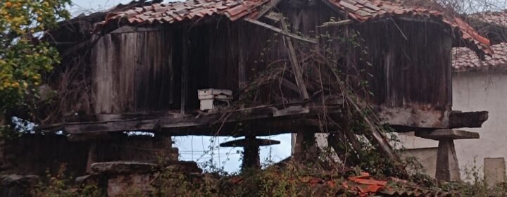 semeya-20.11.2025-3-horru.01.LaOlla-Xixón-2100×1700