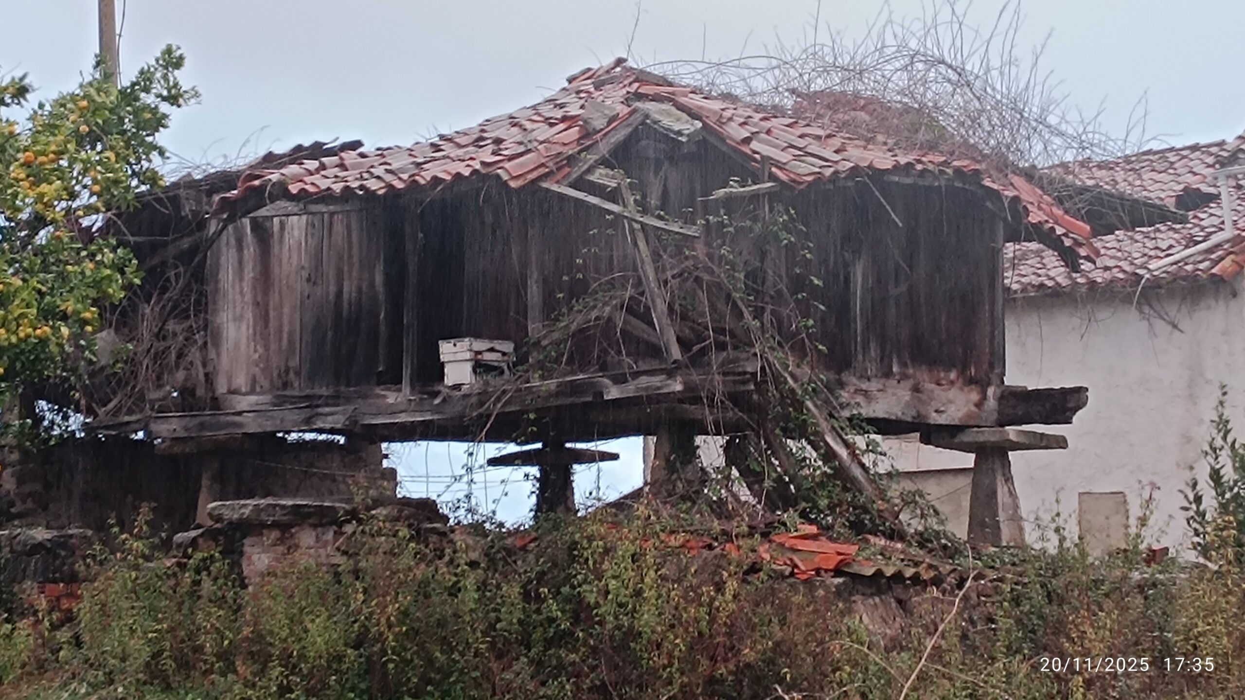 semeya-20.11.2025-5-horru.01.LaOlla-Xixón-