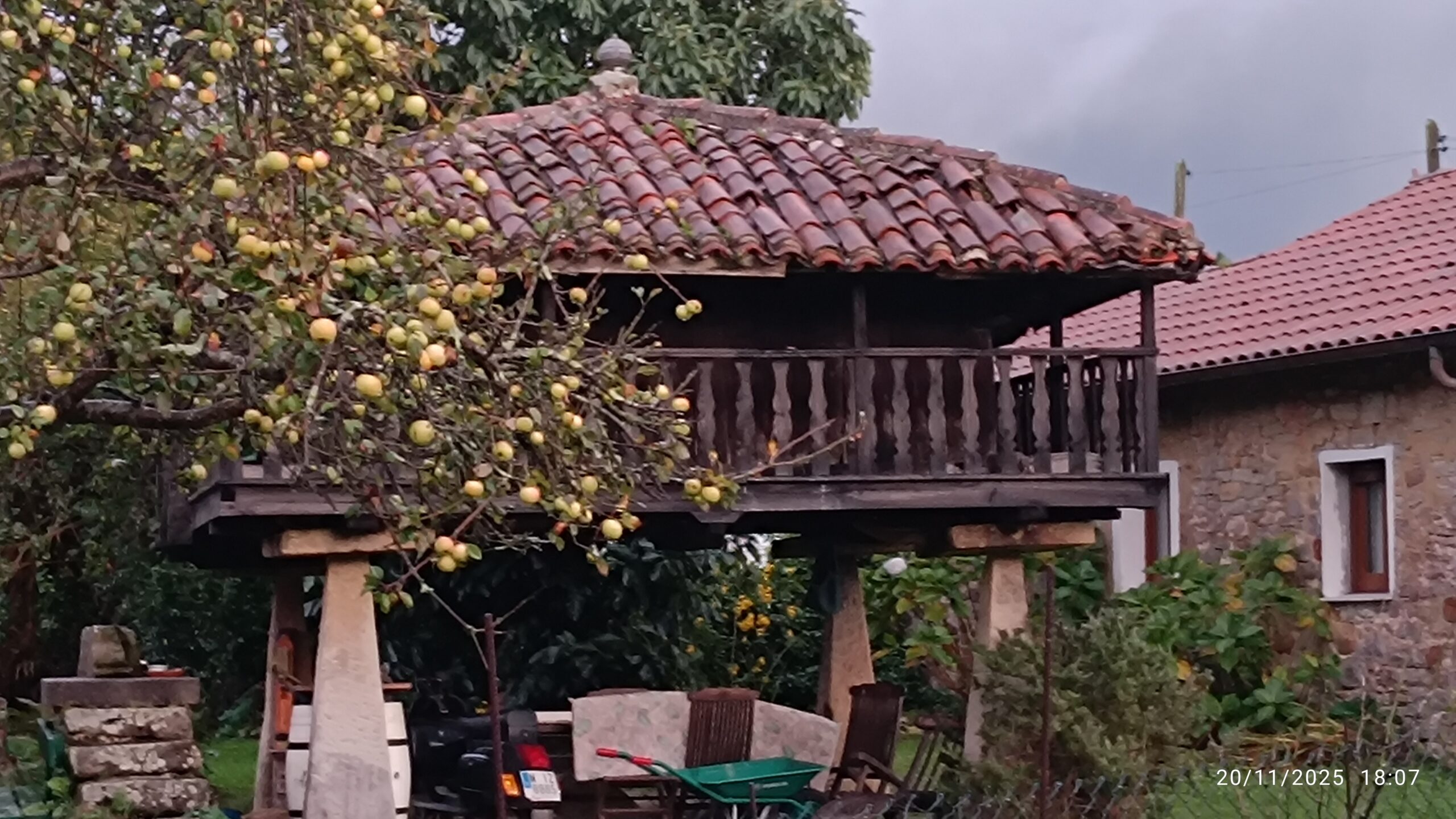 semeya-20.11.2025-5-horru.01.Quintes-Villaviciosa-