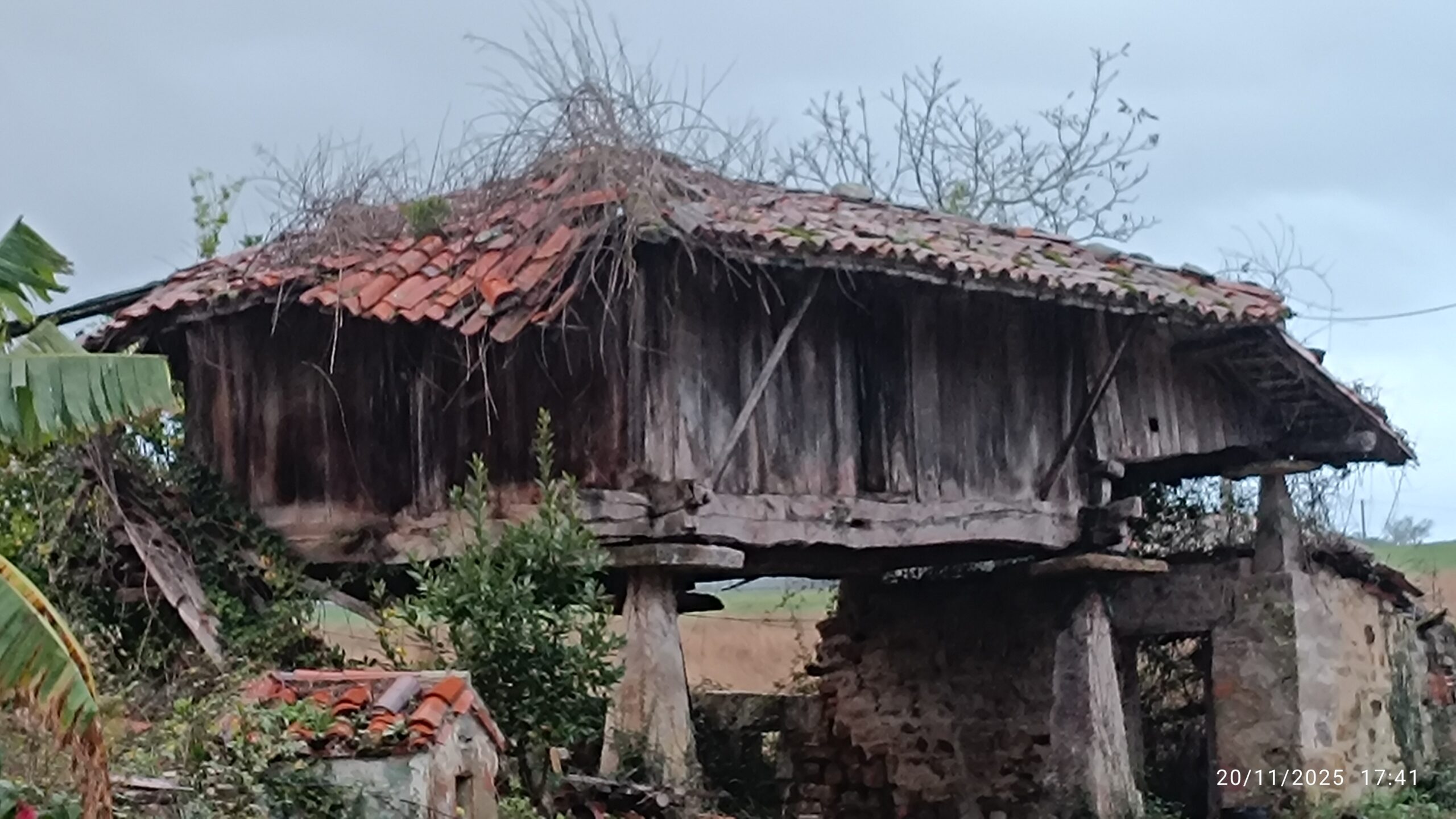 semeya-20.11.2025-6-horru.01.LaOlla-Xixón-